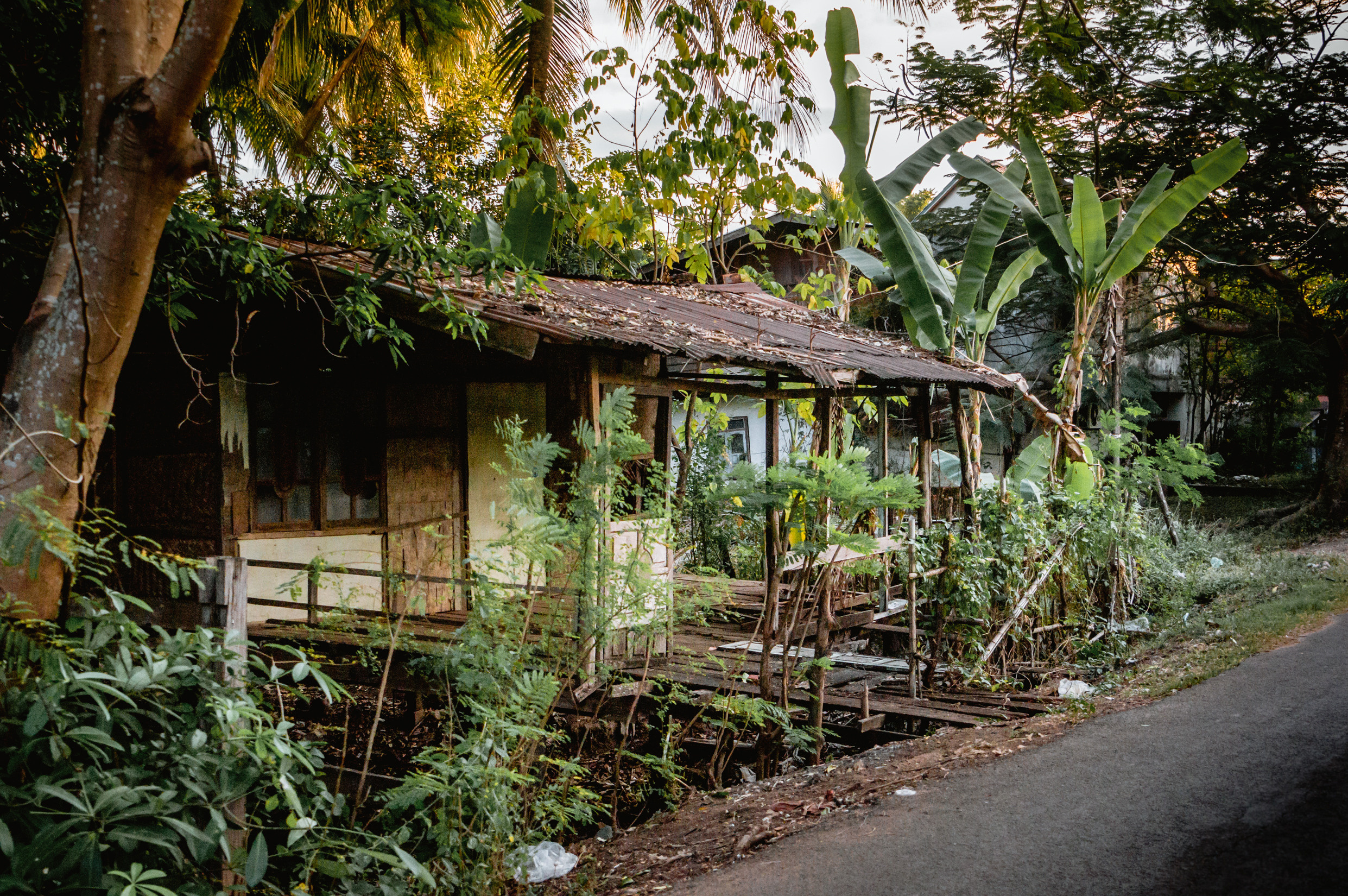 ЮВА: Южная Корея, Вьетнам, Камбоджа, Лаос. Фотограф в Хабаровске. Фотография за 24 часа