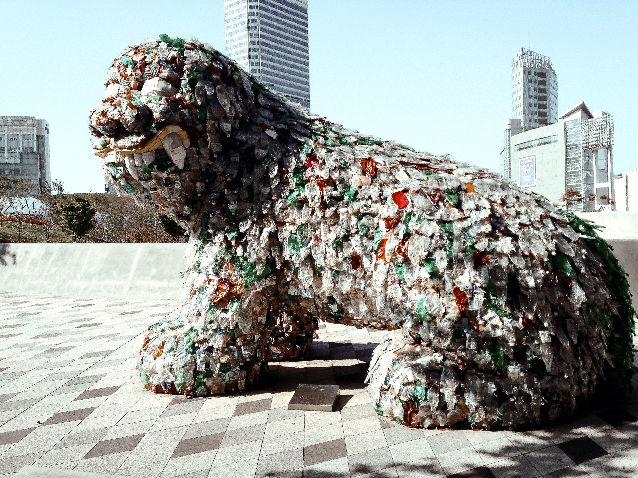 Корея 2013. Фотограф в Хабаровске. Фотография за 24 часа