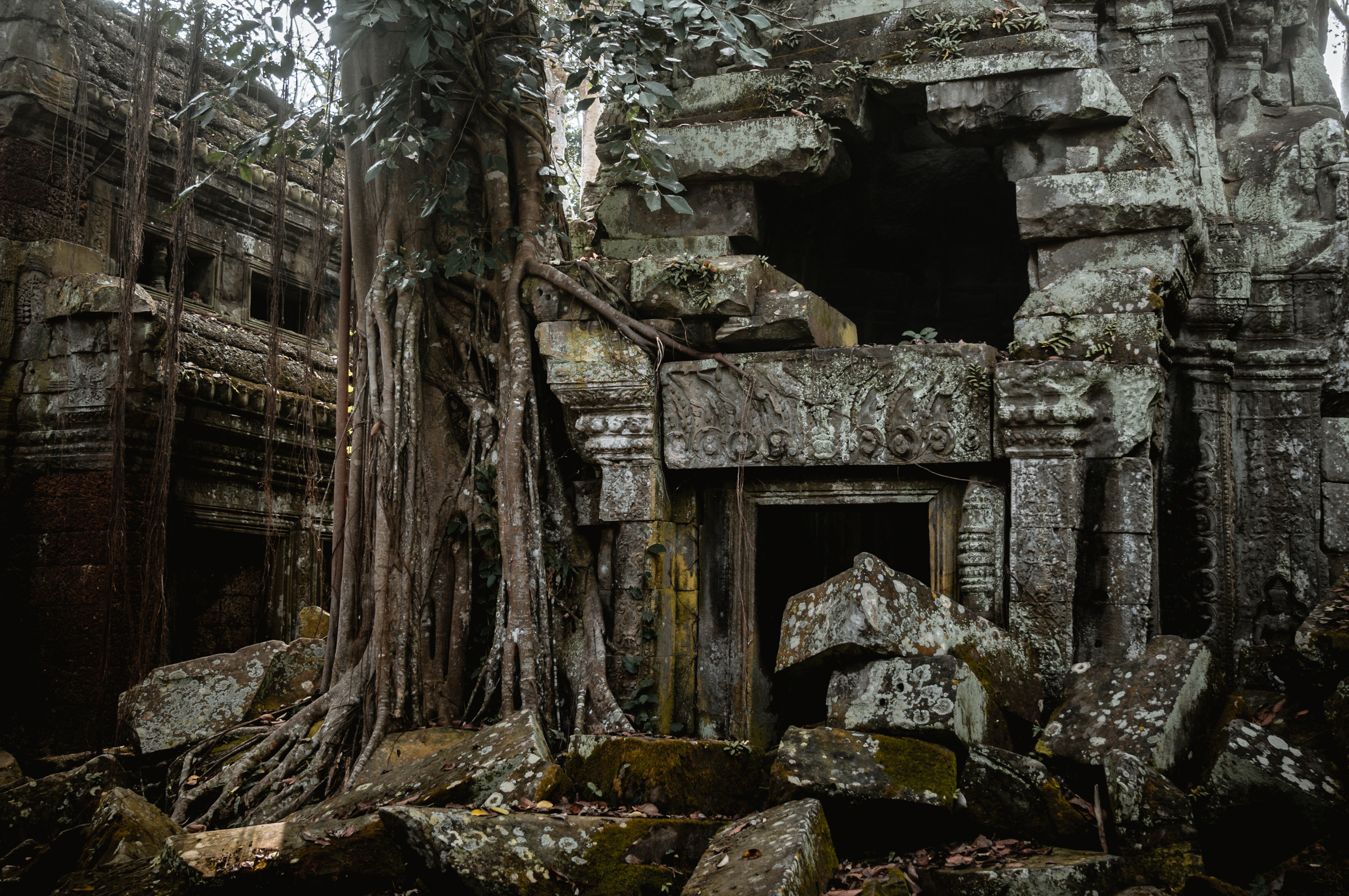 ЮВА: Южная Корея, Вьетнам, Камбоджа, Лаос. Фотограф в Хабаровске. Фотография за 24 часа