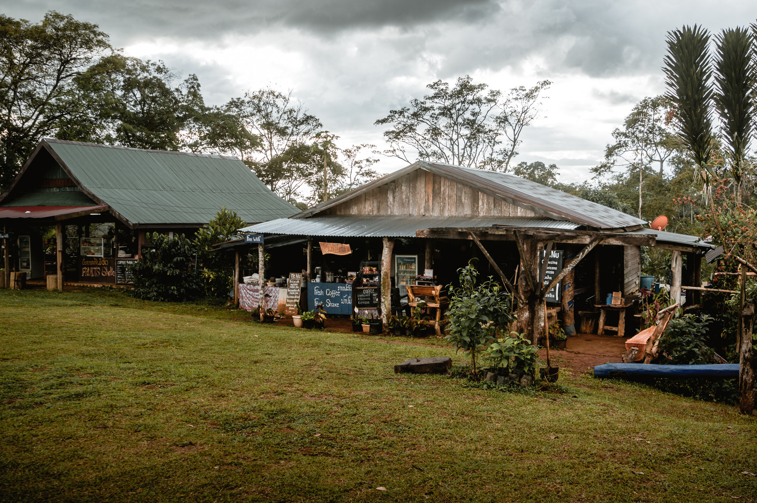 ЮВА: Южная Корея, Вьетнам, Камбоджа, Лаос. Фотограф в Хабаровске. Фотография за 24 часа