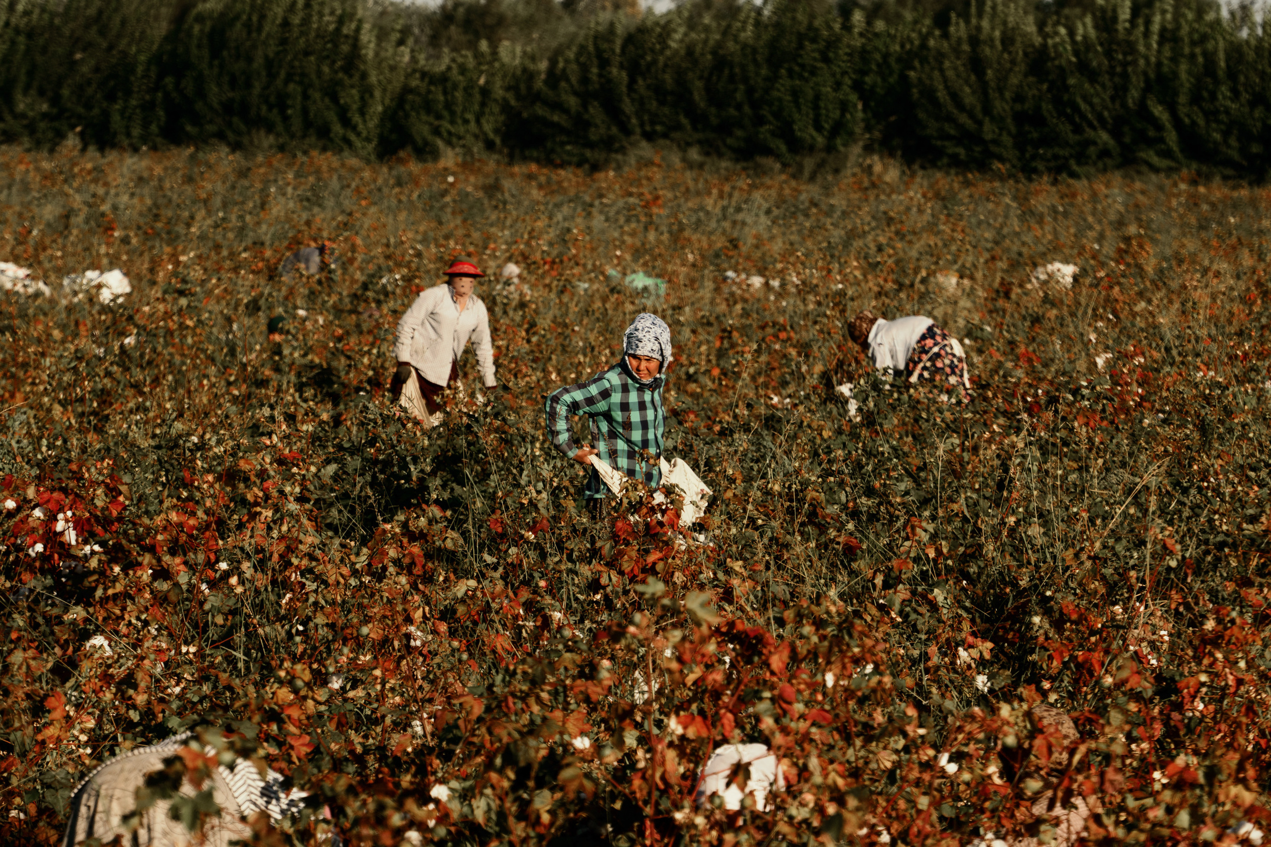 Средняя Азия: Кыргыстан, Казахстан, Узбекистан, Таджикистан. Фотограф в Хабаровске. Фотография за 24 часа