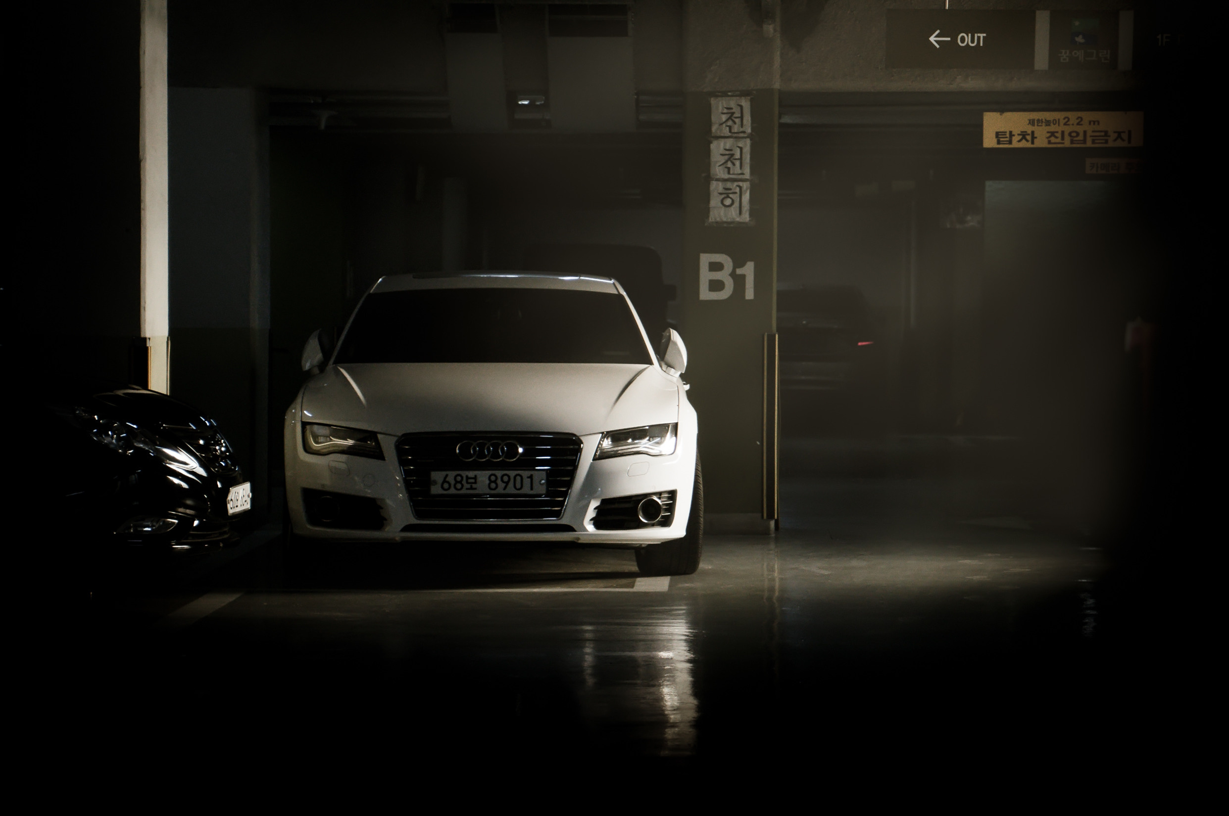 ЮВА: Южная Корея, Вьетнам, Камбоджа, Лаос. Фотограф в Хабаровске. Фотография за 24 часа