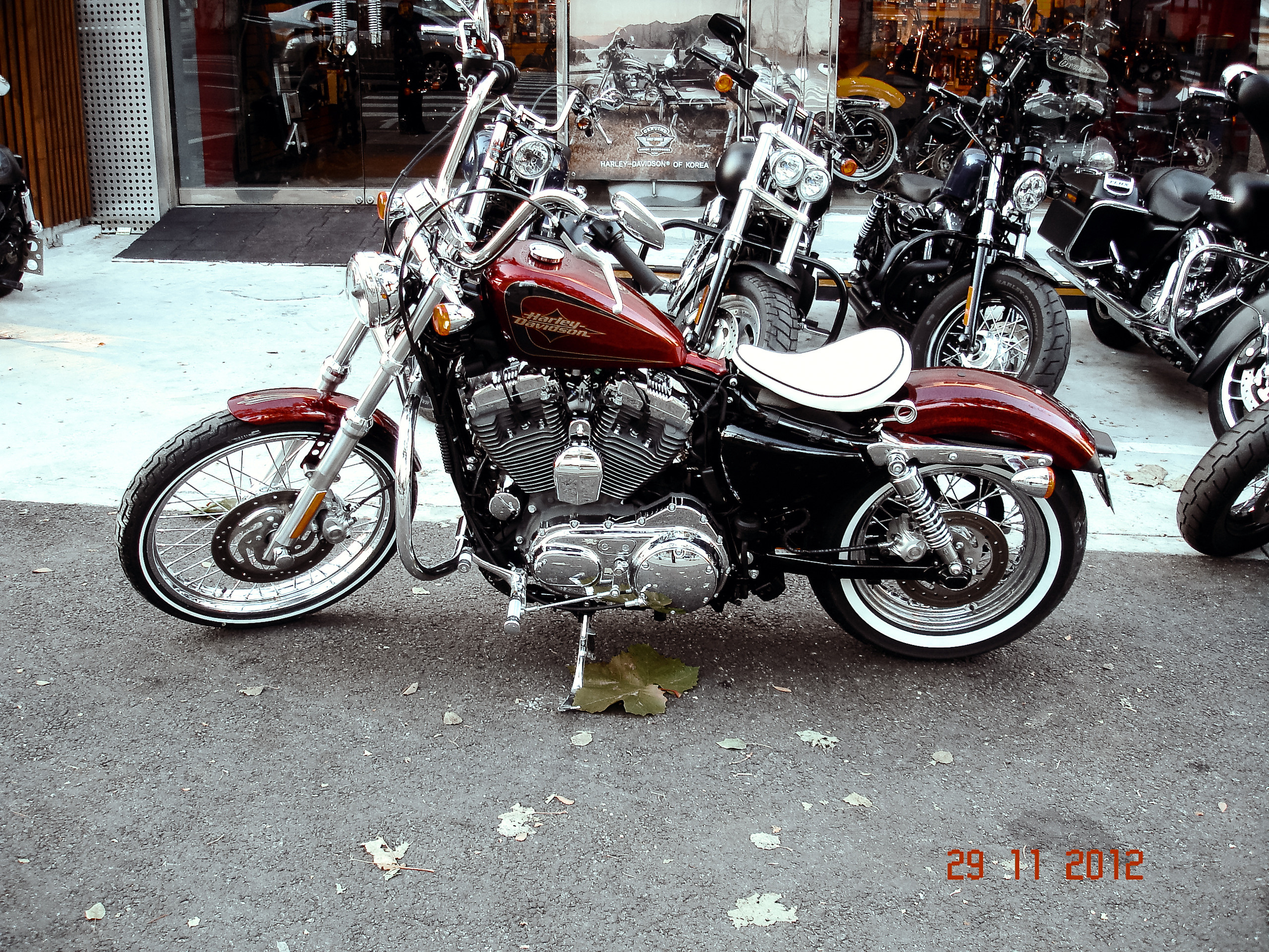 Корея 2012. Фотограф в Хабаровске. Фотография за 24 часа