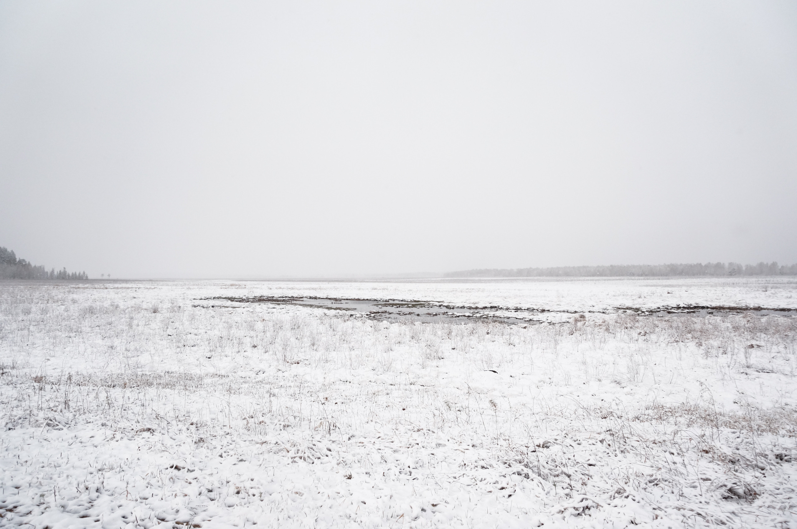 Хабаровск-Чита. Фотограф в Хабаровске. Фотография за 24 часа