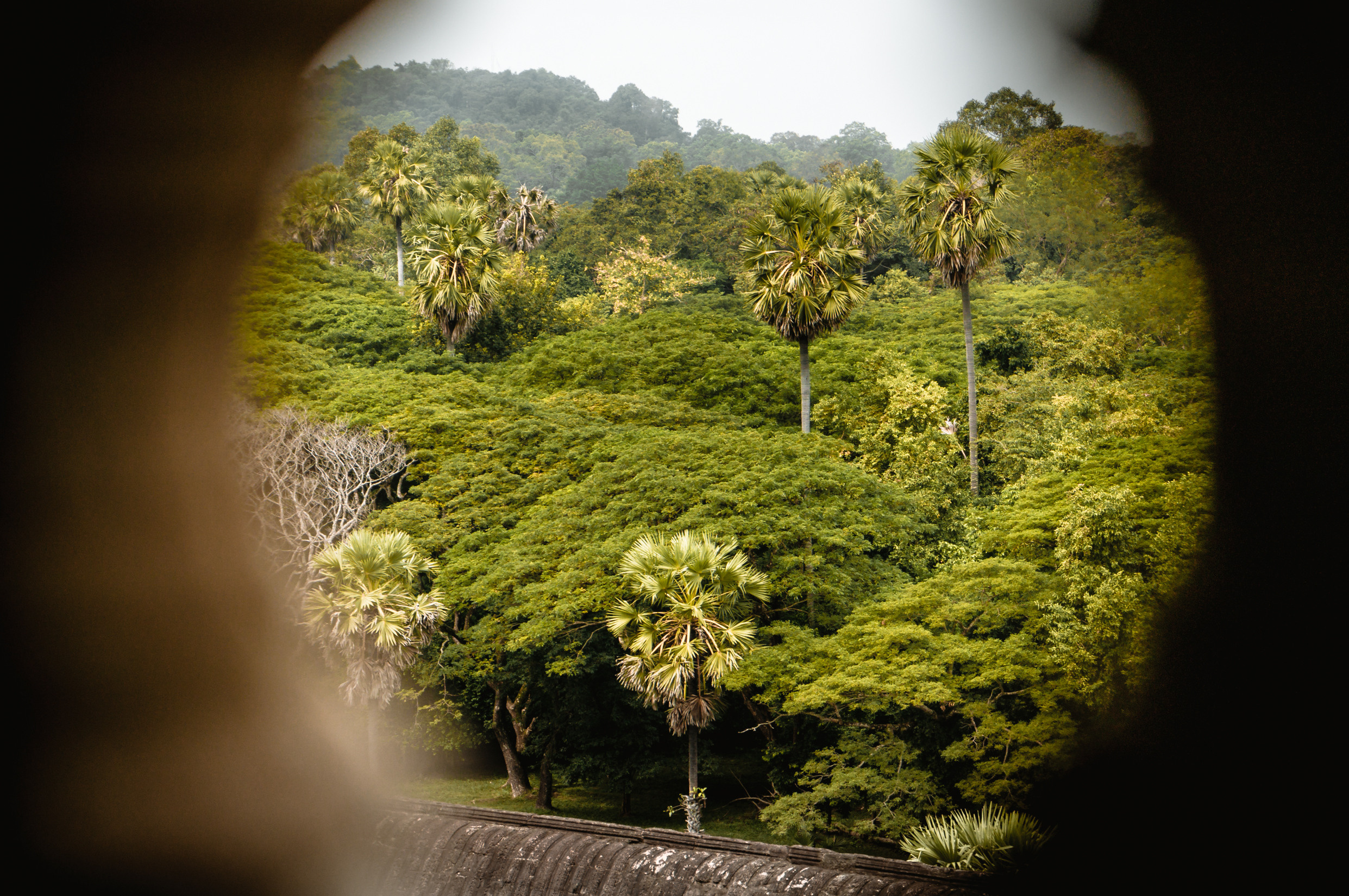 ЮВА: Южная Корея, Вьетнам, Камбоджа, Лаос. Фотограф в Хабаровске. Фотография за 24 часа