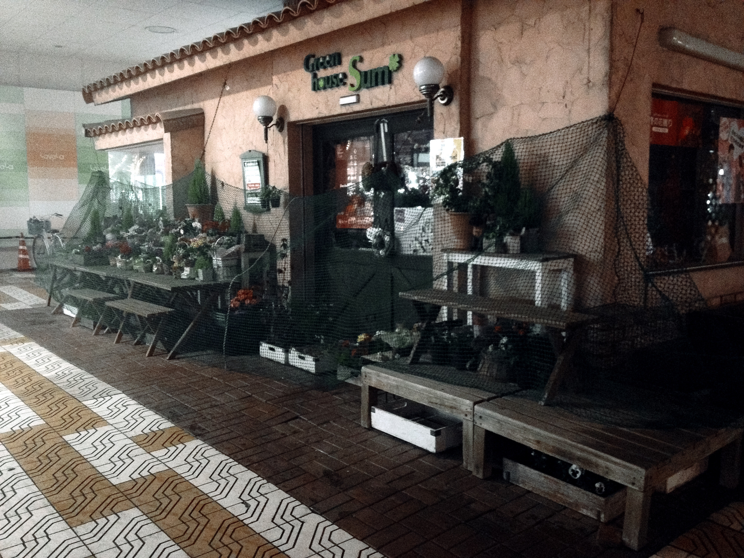 Япония. Ниигата. Фотограф в Хабаровске. Фотография за 24 часа