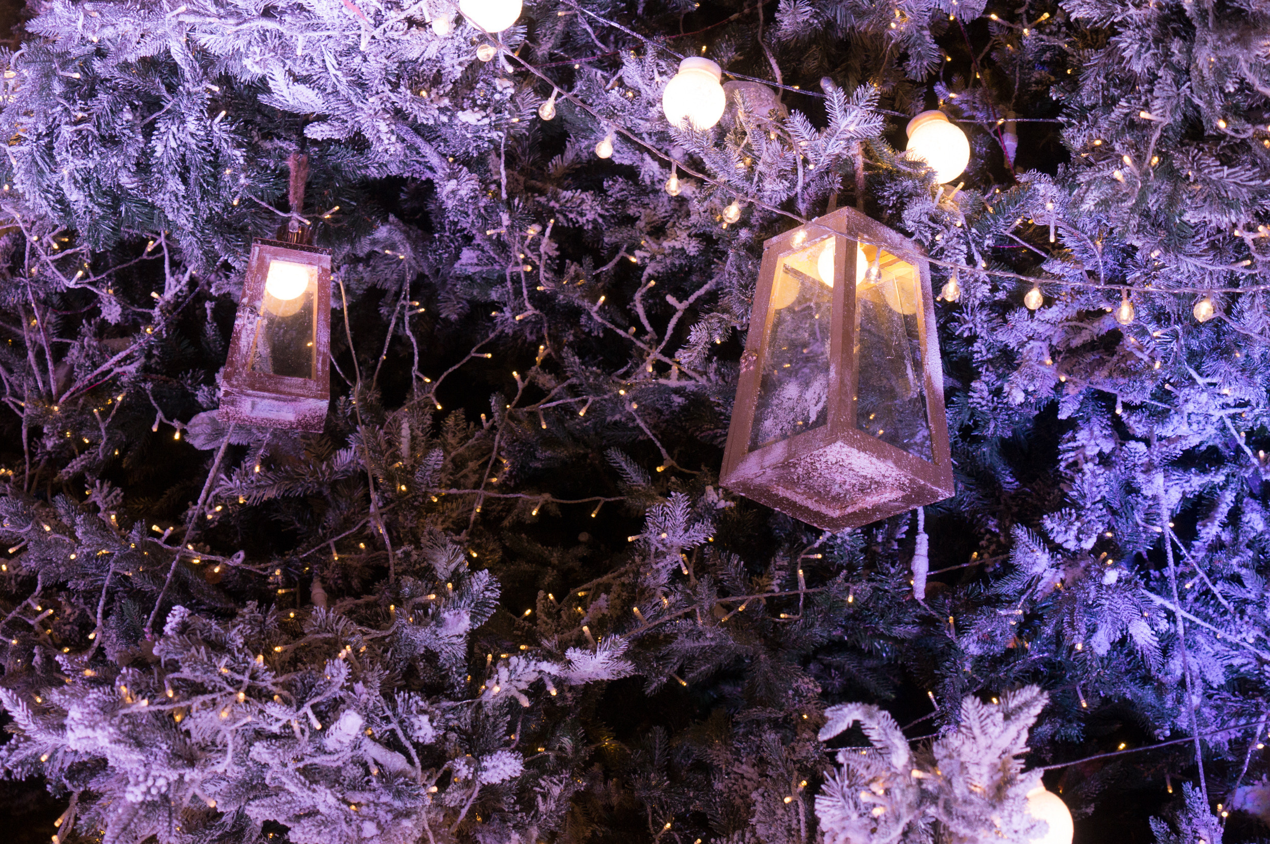 ЮВА: Южная Корея, Вьетнам, Камбоджа, Лаос. Фотограф в Хабаровске. Фотография за 24 часа