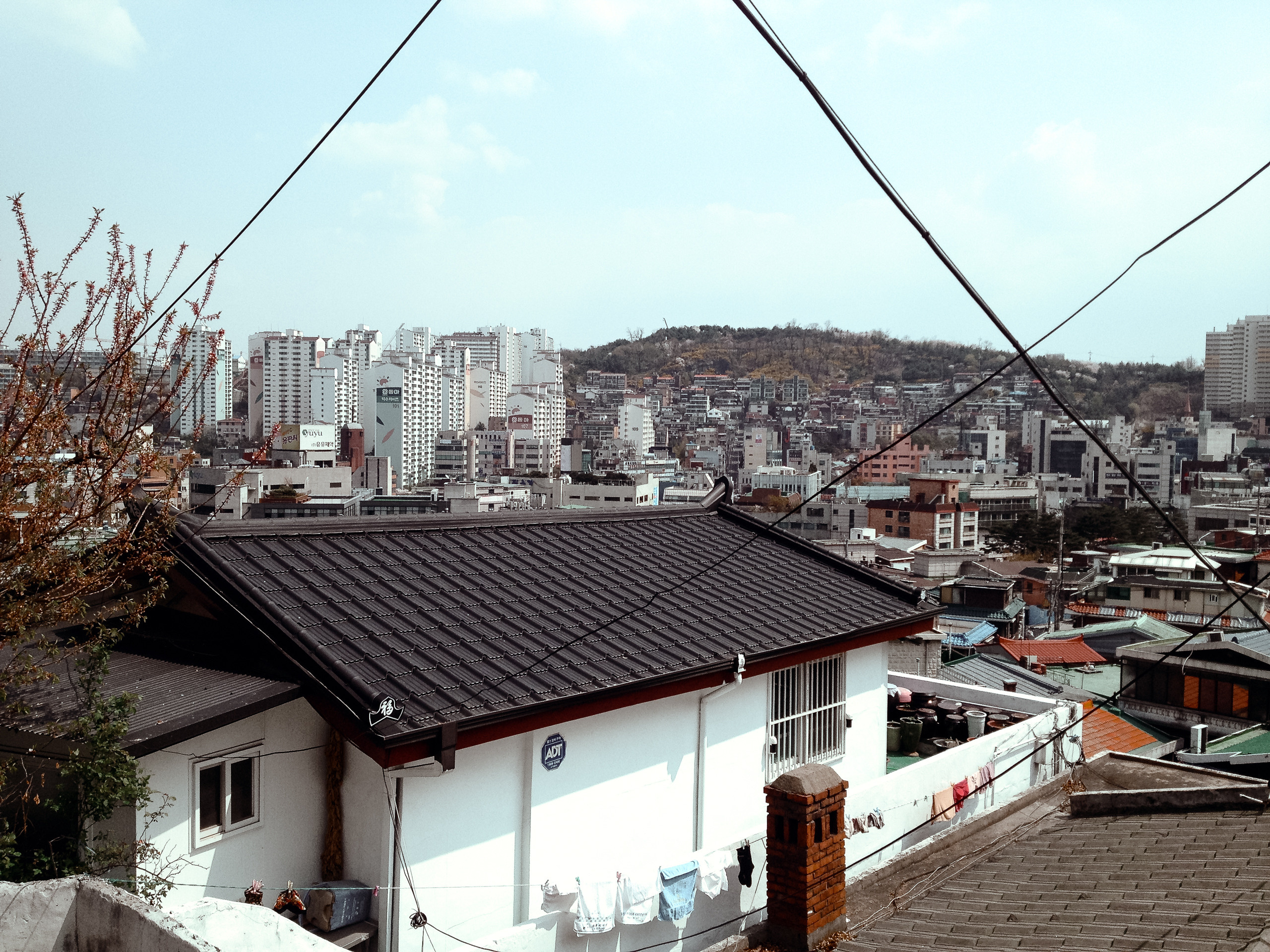 Корея 2014. Фотограф в Хабаровске. Фотография за 24 часа