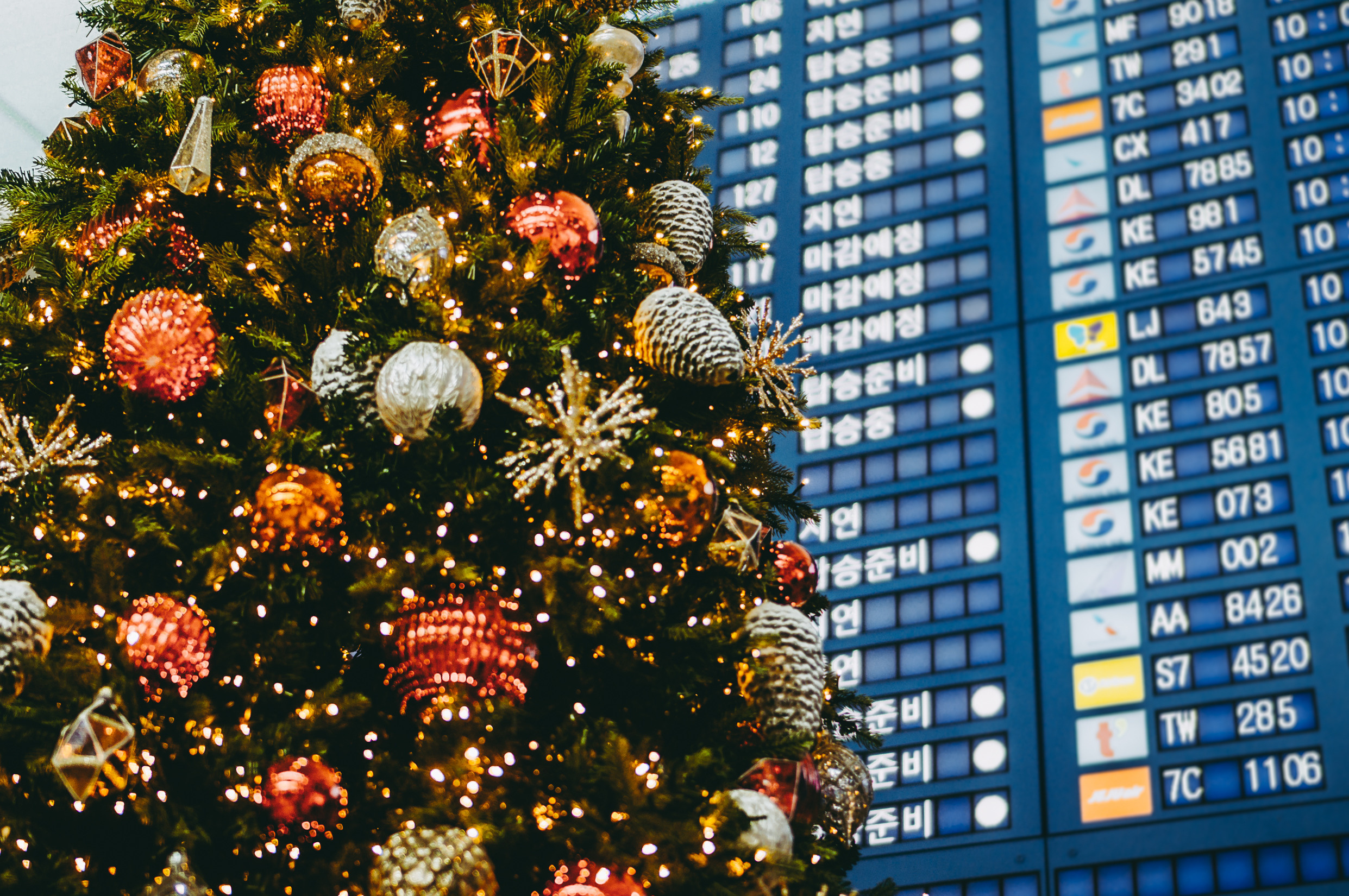 Корея ноябрь 2017. Фотограф в Хабаровске. Фотография за 24 часа