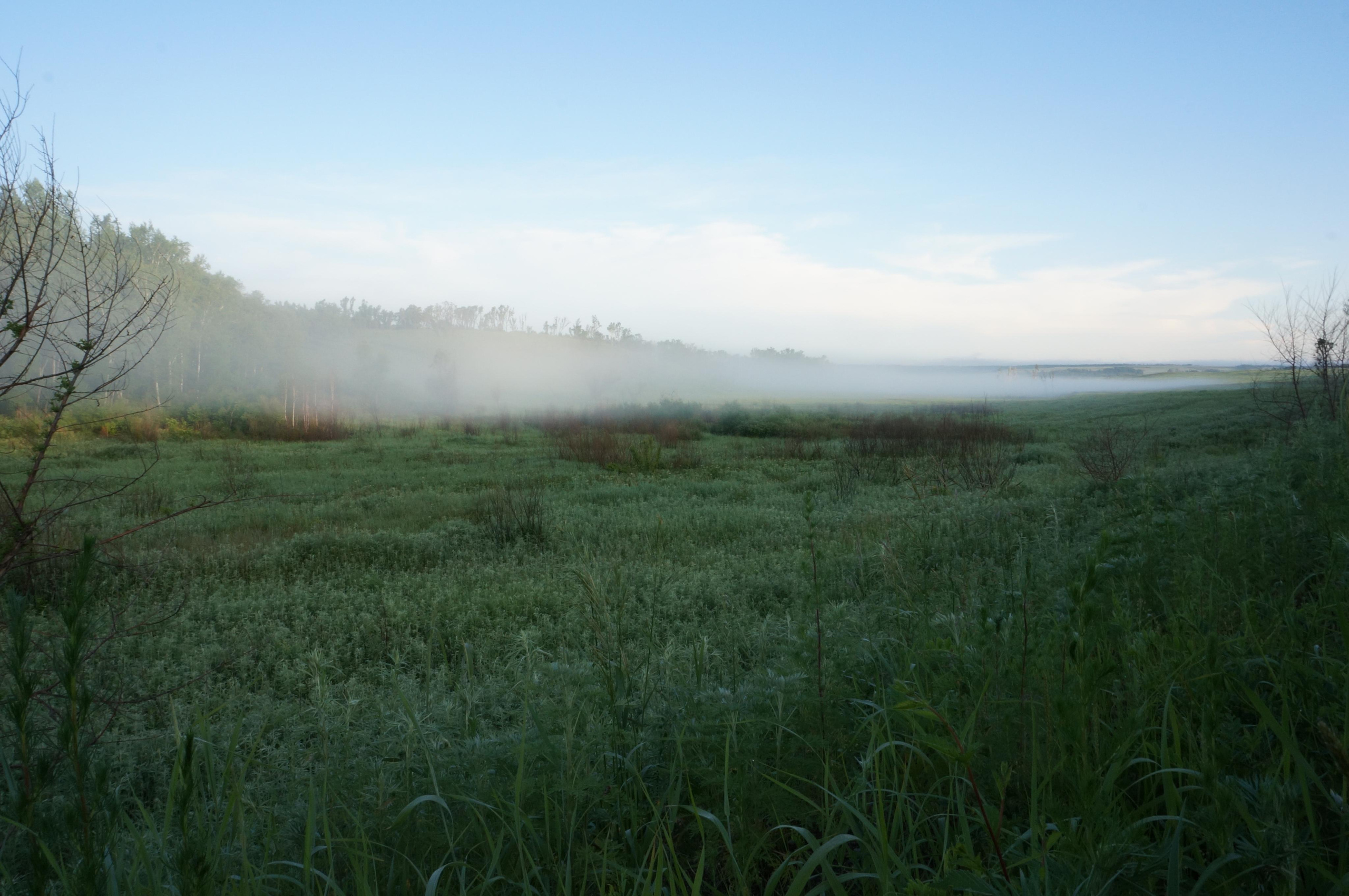 Хабаровск-Благовещенск. Фотограф в Хабаровске. Фотография за 24 часа