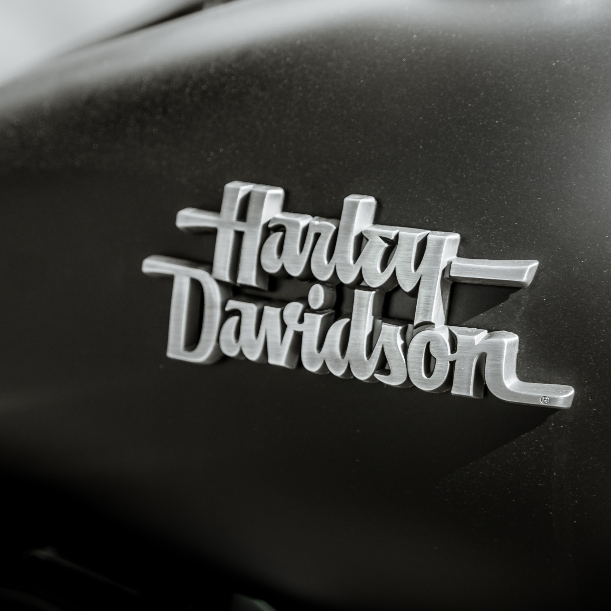 Корея март 2018. Фотограф в Хабаровске. Фотография за 24 часа