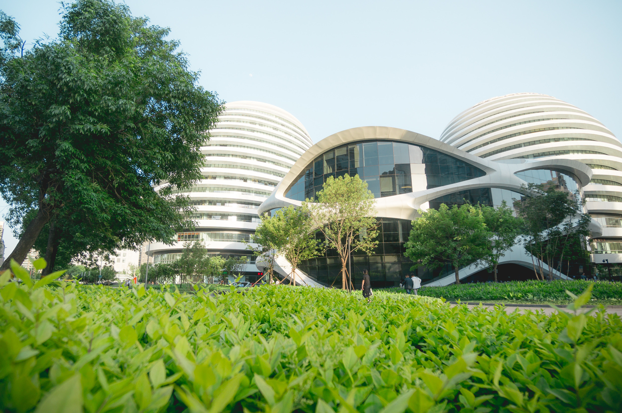 Китай. Пекин. Фотограф в Хабаровске. Фотография за 24 часа