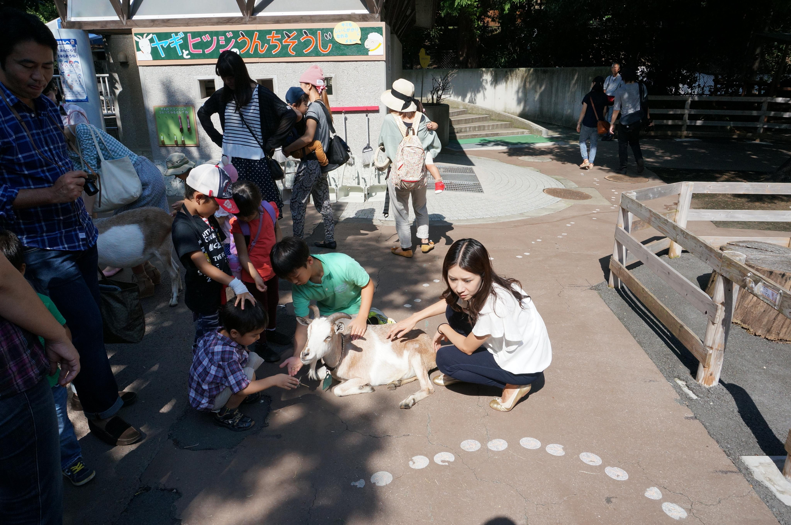 Япония. Токио, Киото. Фотограф в Хабаровске. Фотография за 24 часа