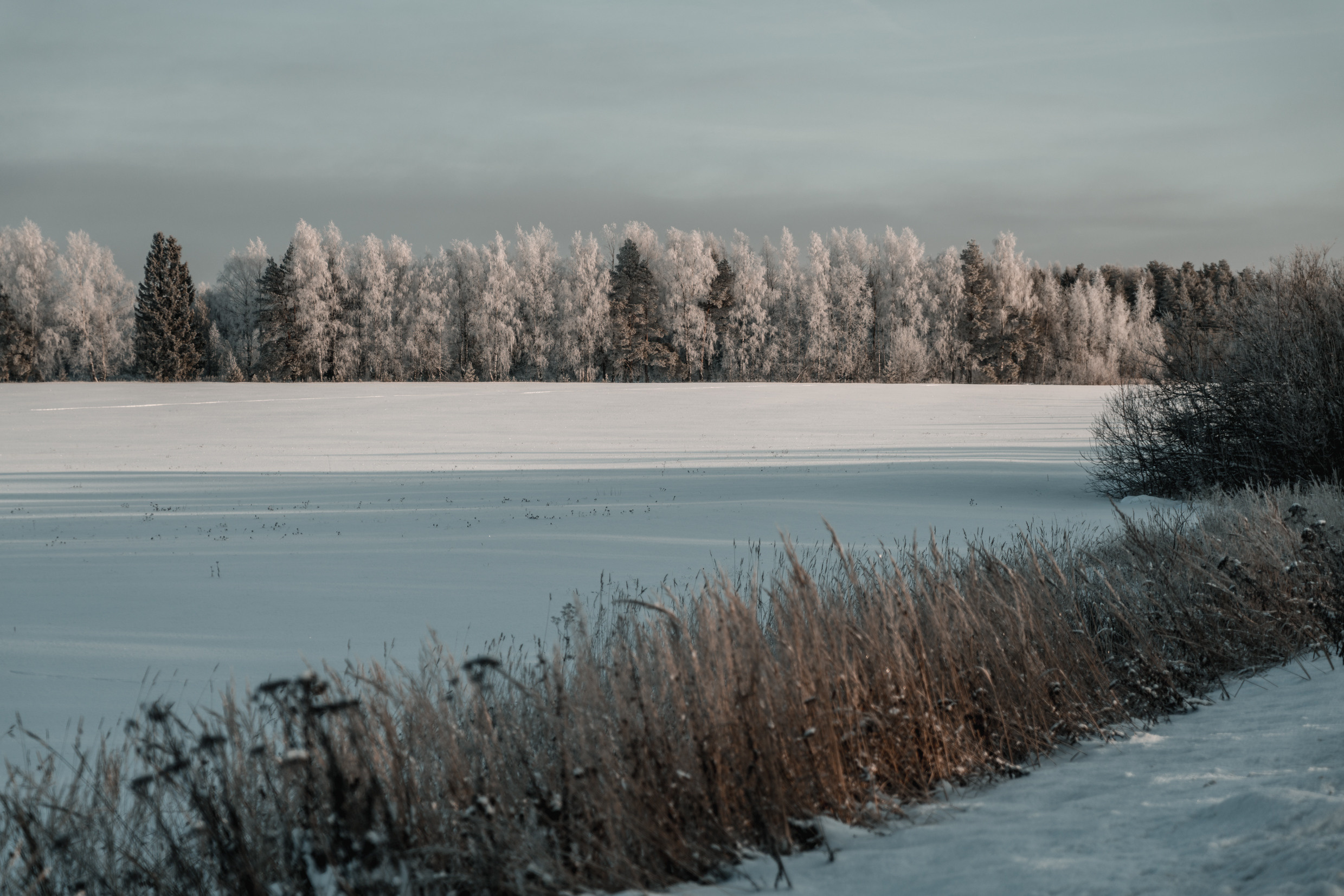 Россия: Москва, Самара, Казань, Нижний Новогород, Санкт-Петербург. Фотограф в Хабаровске. Фотография за 24 часа