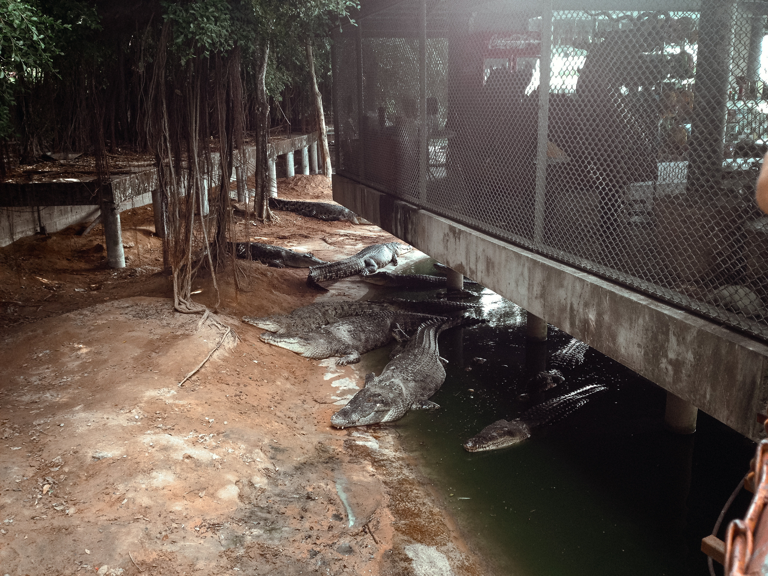 Тайланд. Паттая. Фотограф в Хабаровске. Фотография за 24 часа