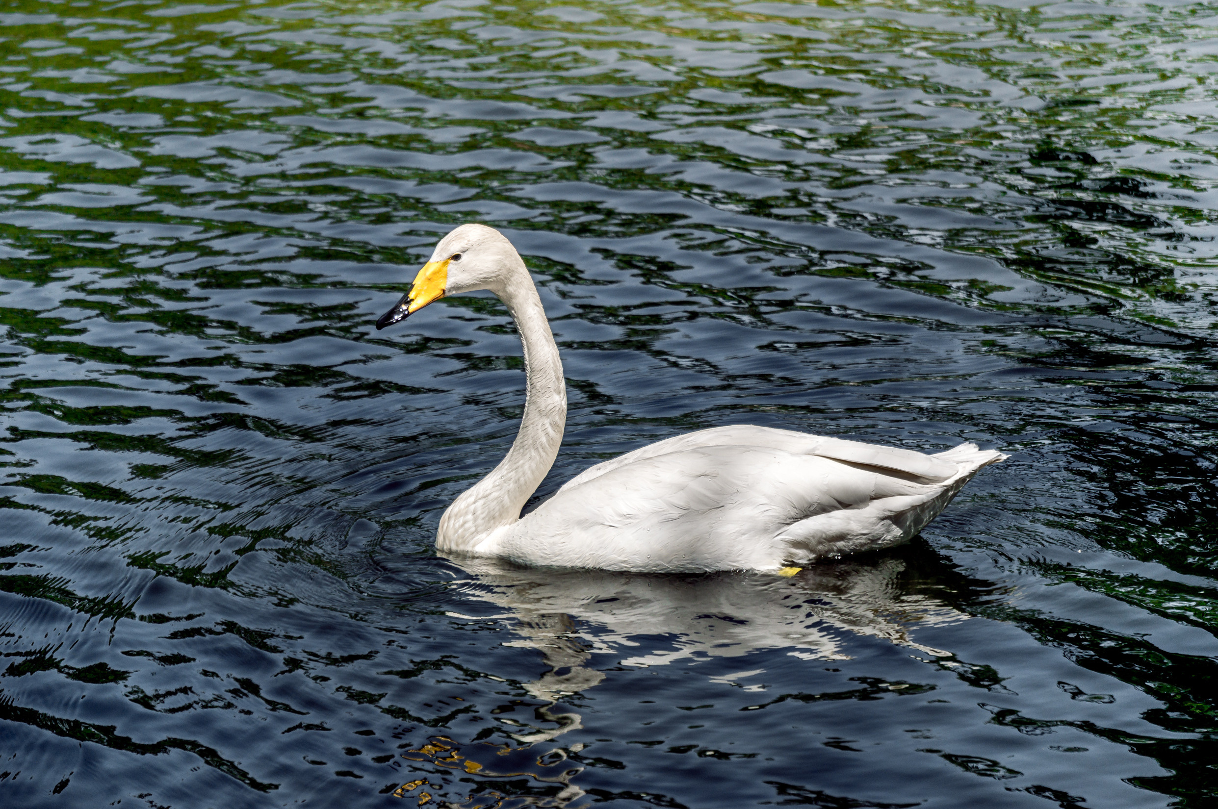 Китай. Пекин. Фотограф в Хабаровске. Фотография за 24 часа