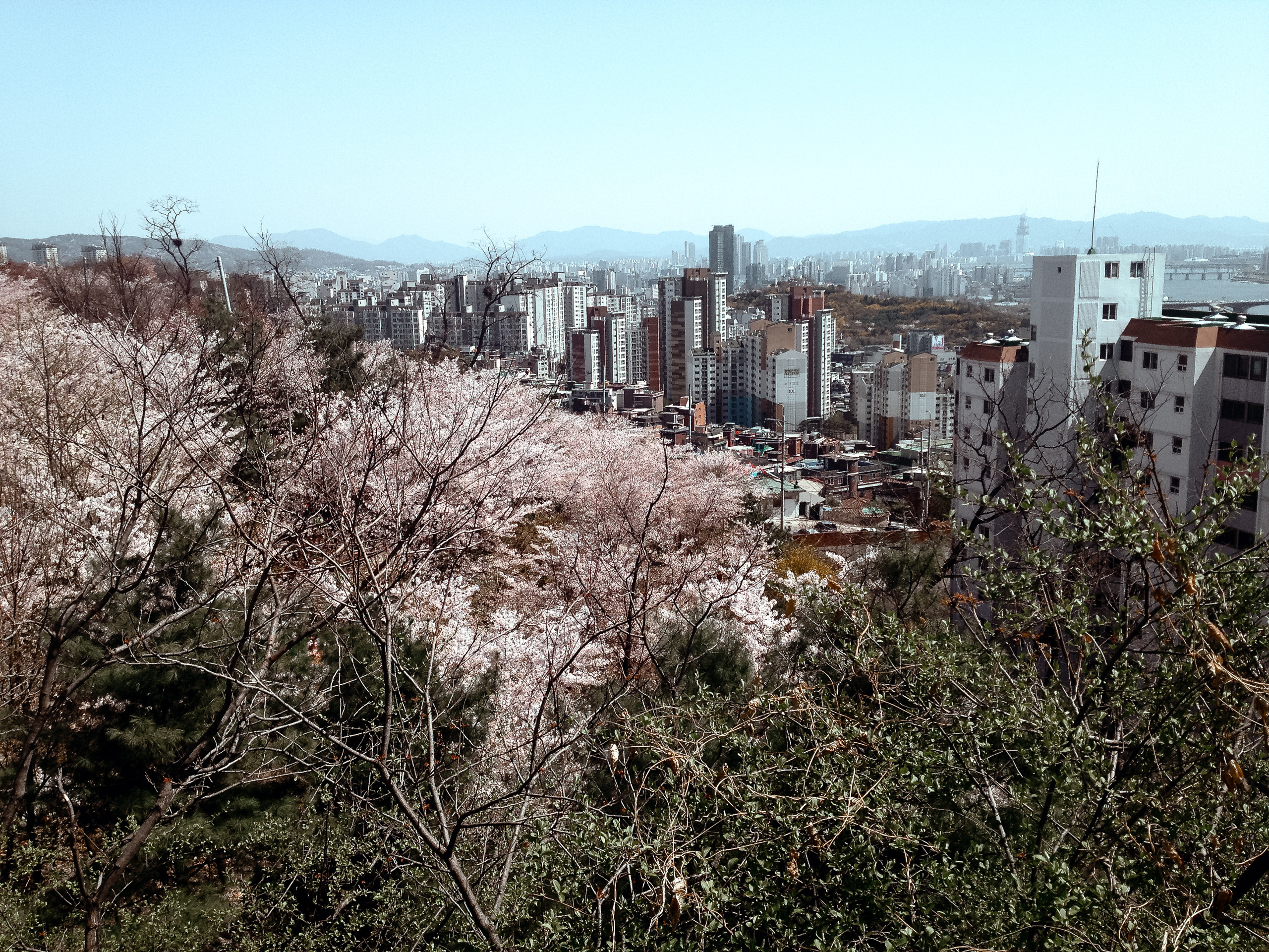 Корея 2014. Фотограф в Хабаровске. Фотография за 24 часа