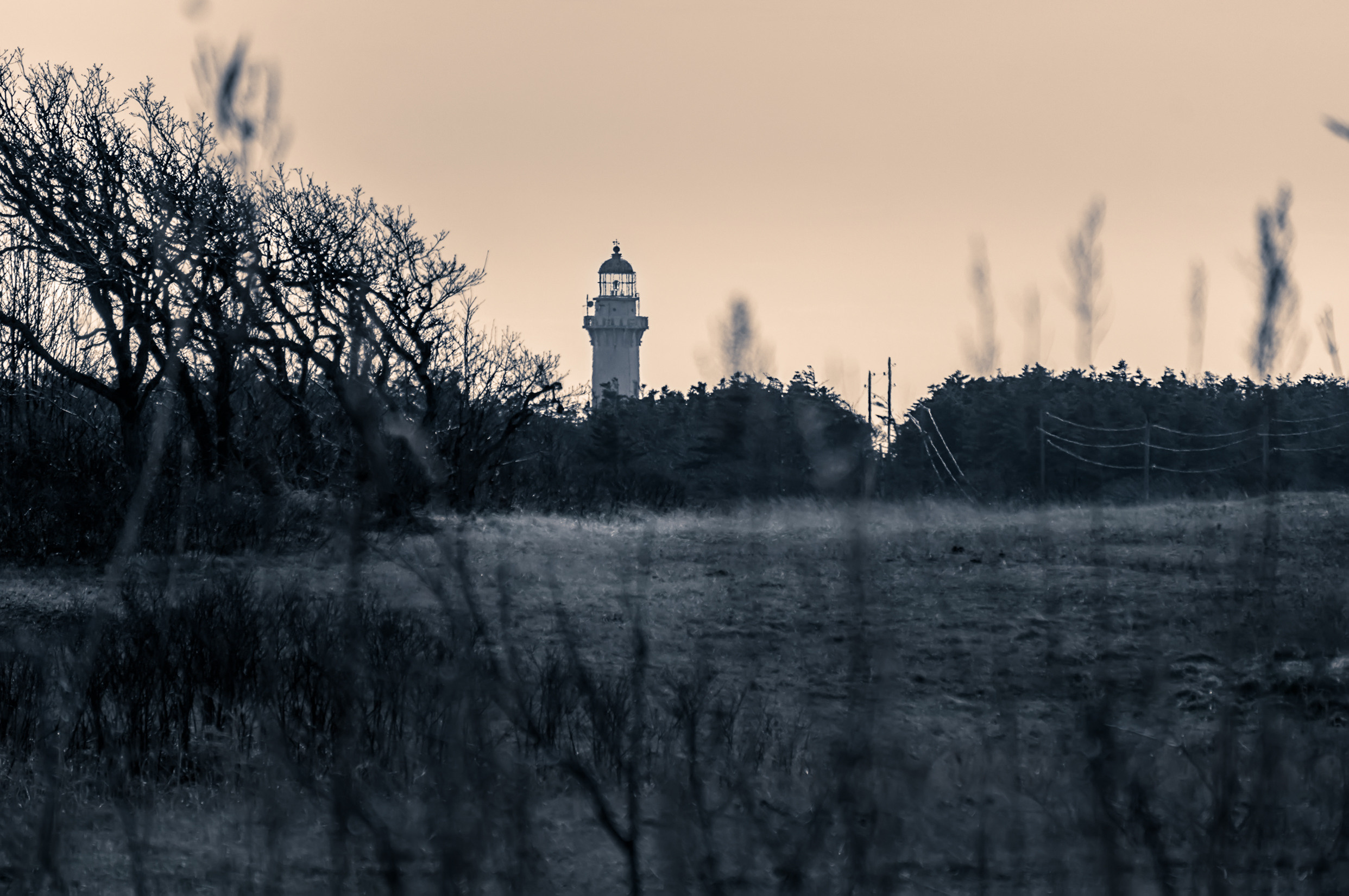 Сахалин. Фотограф в Хабаровске. Фотография за 24 часа