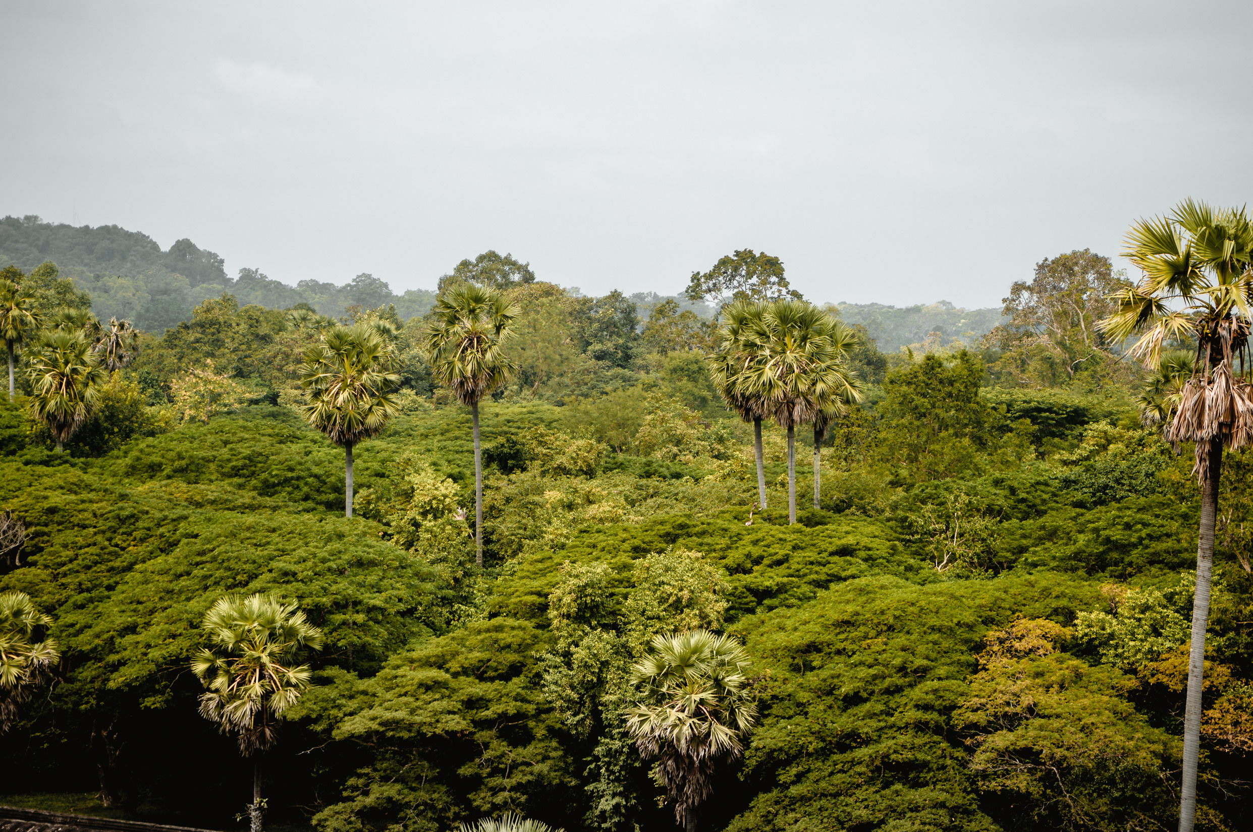 ЮВА: Южная Корея, Вьетнам, Камбоджа, Лаос. Фотограф в Хабаровске. Фотография за 24 часа