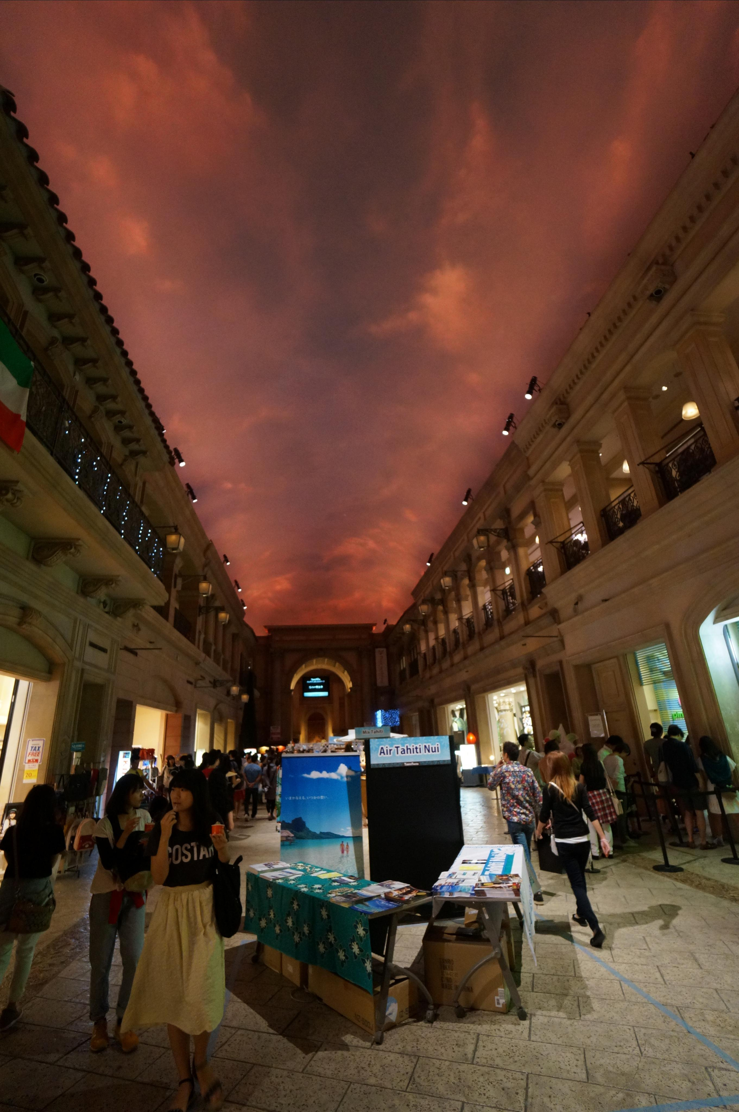 Япония. Токио, Киото. Фотограф в Хабаровске. Фотография за 24 часа