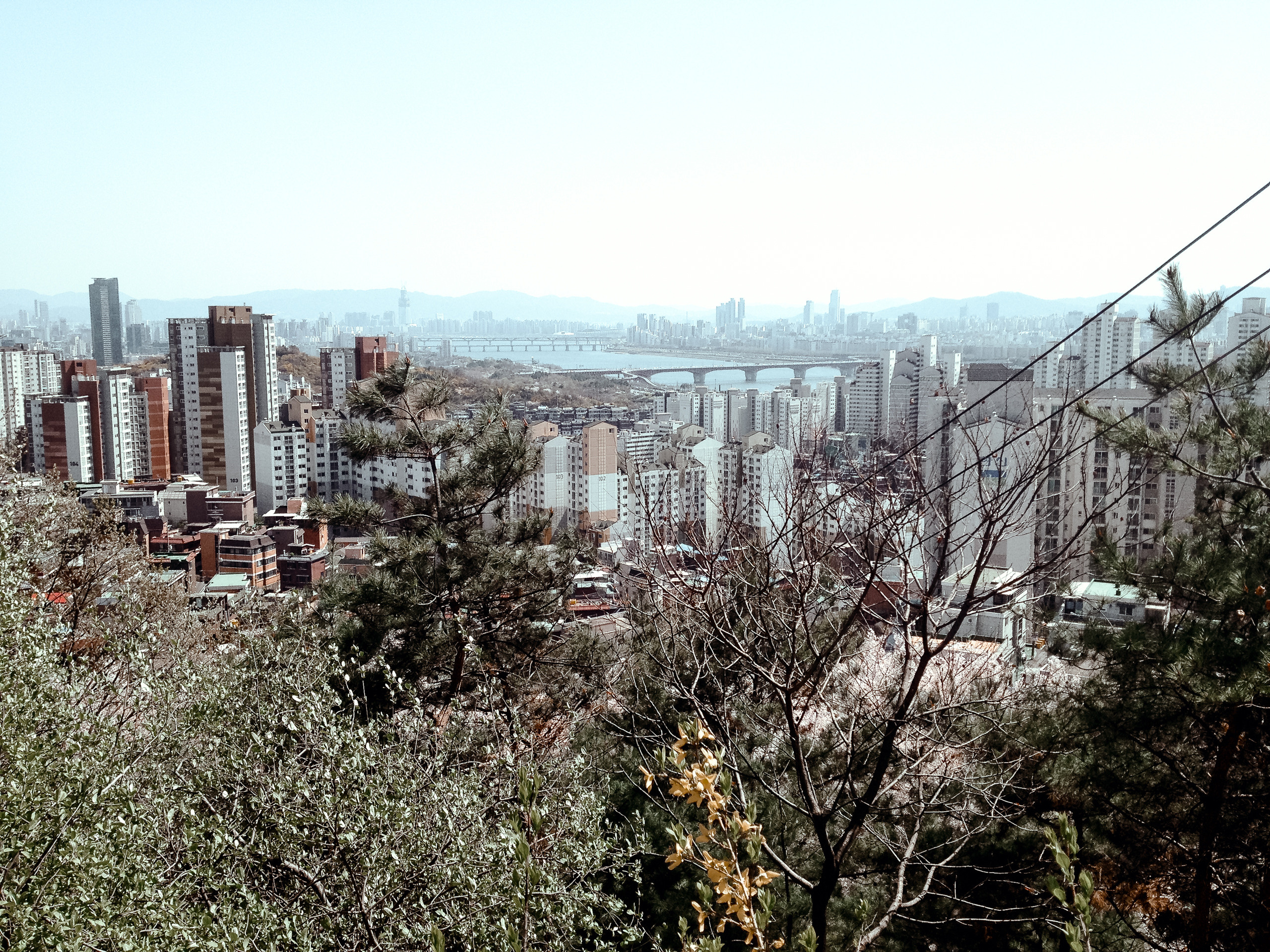 Корея 2014. Фотограф в Хабаровске. Фотография за 24 часа