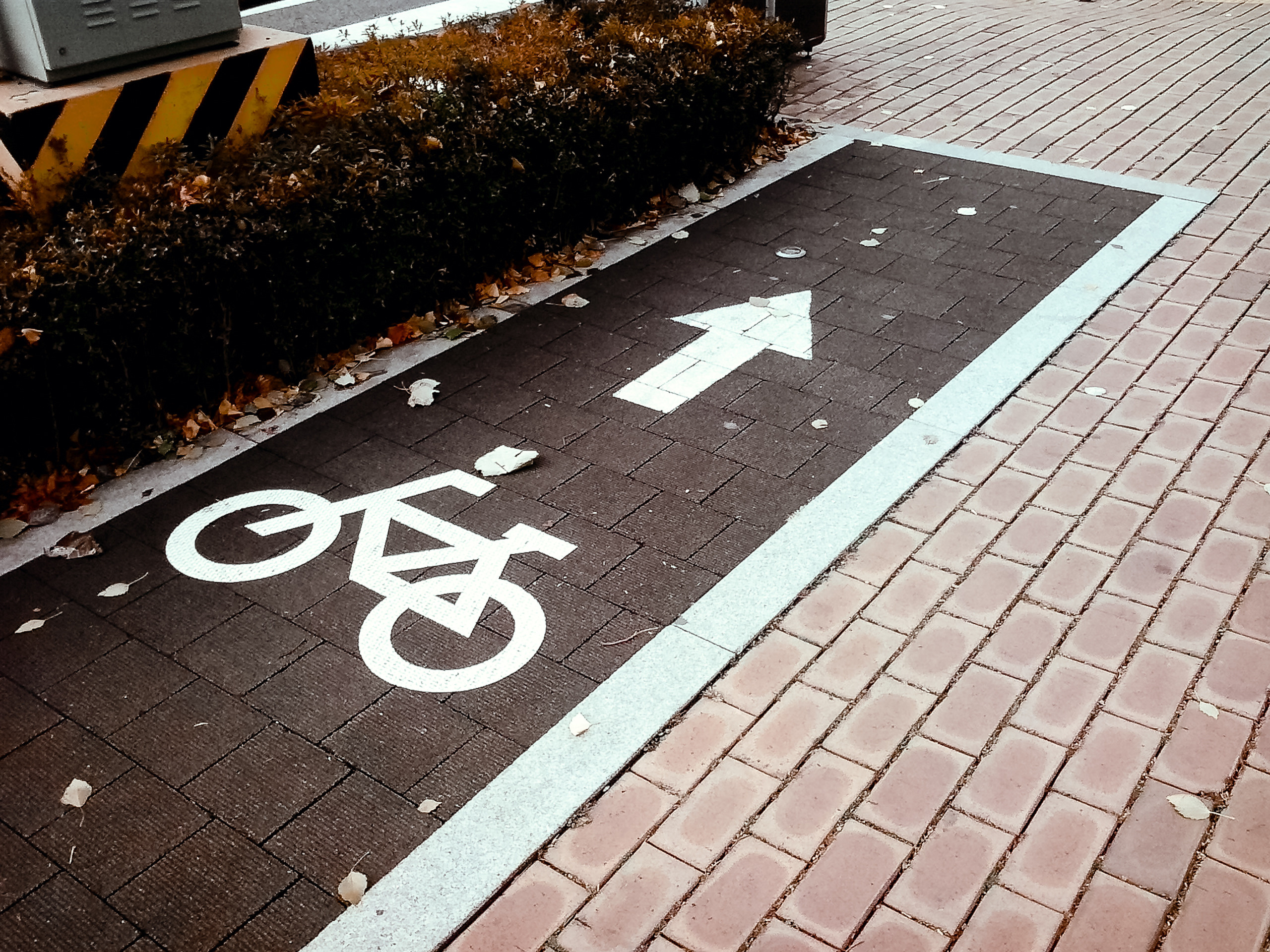 Корея 2012. Фотограф в Хабаровске. Фотография за 24 часа