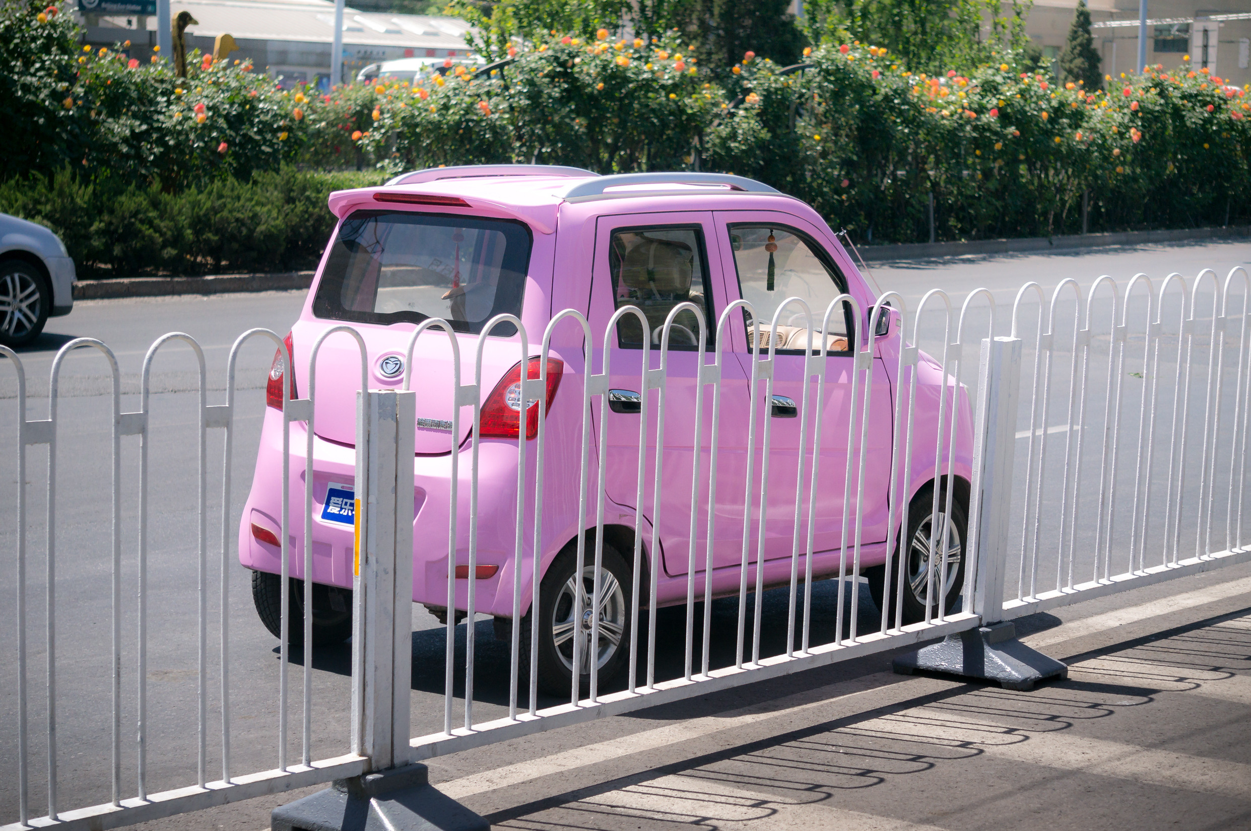 Китай. Пекин. Фотограф в Хабаровске. Фотография за 24 часа