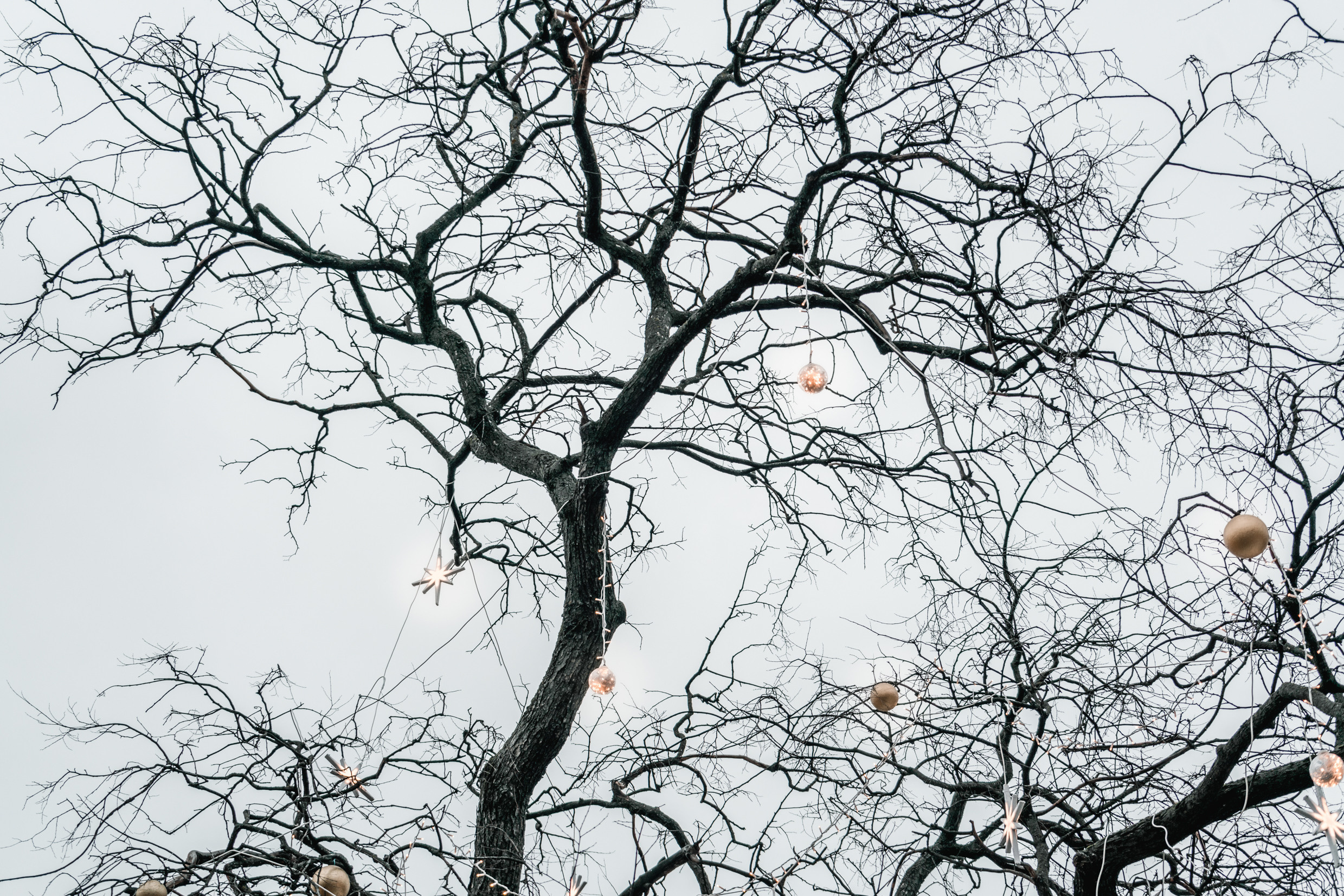 Россия: Москва, Самара, Казань, Нижний Новогород, Санкт-Петербург. Фотограф в Хабаровске. Фотография за 24 часа
