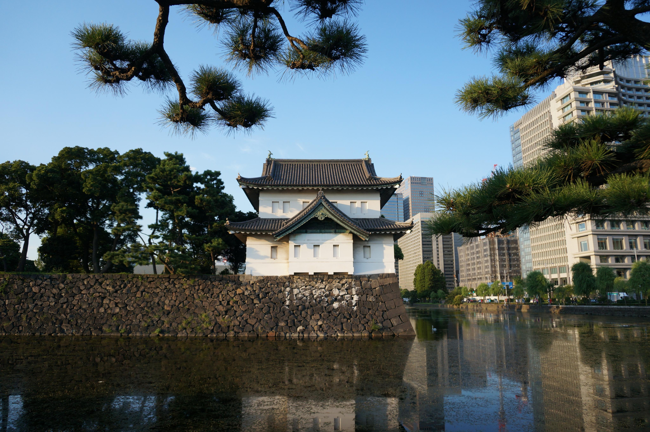 Япония. Токио, Киото. Фотограф в Хабаровске. Фотография за 24 часа