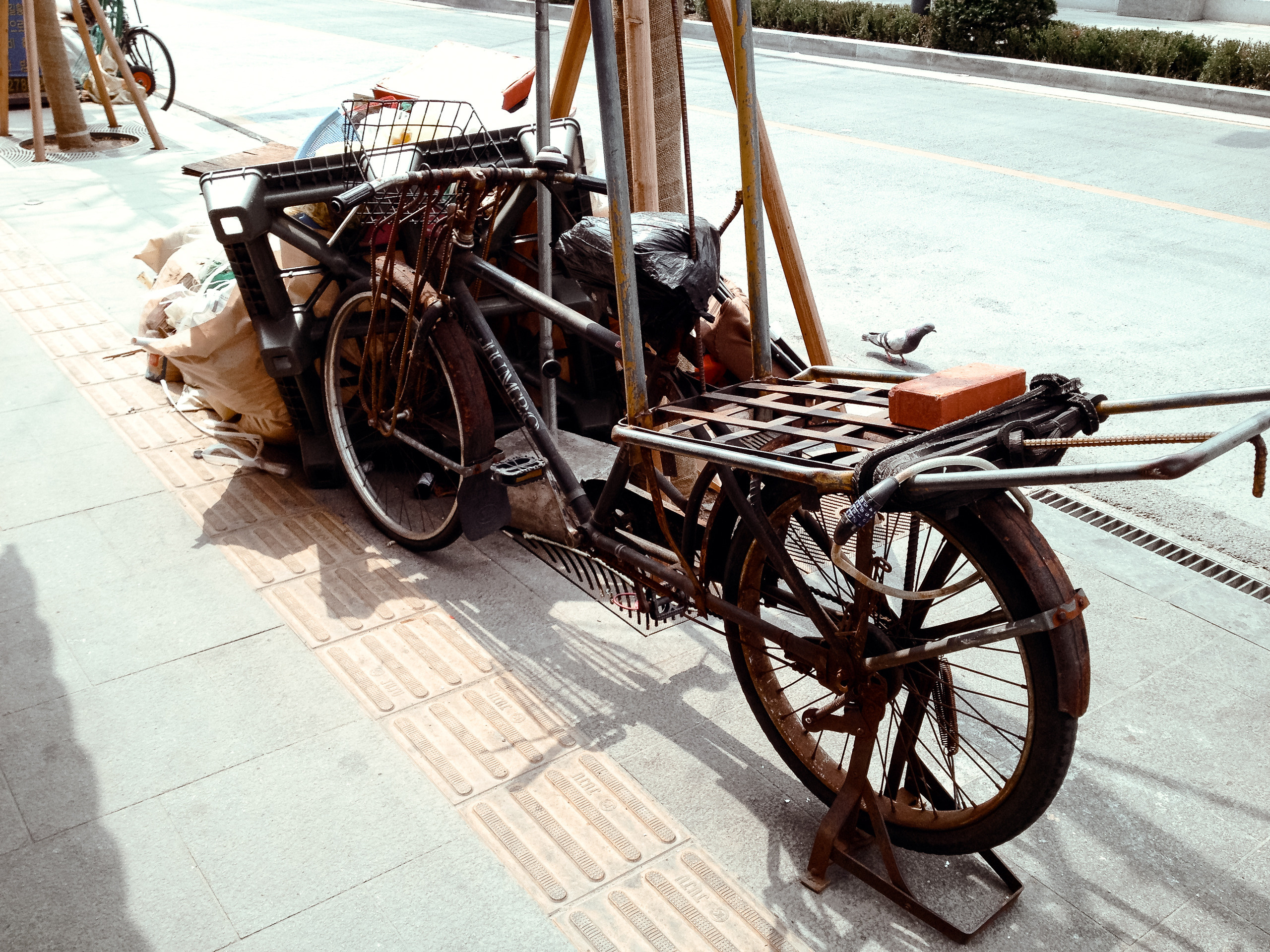 Корея 2014. Фотограф в Хабаровске. Фотография за 24 часа