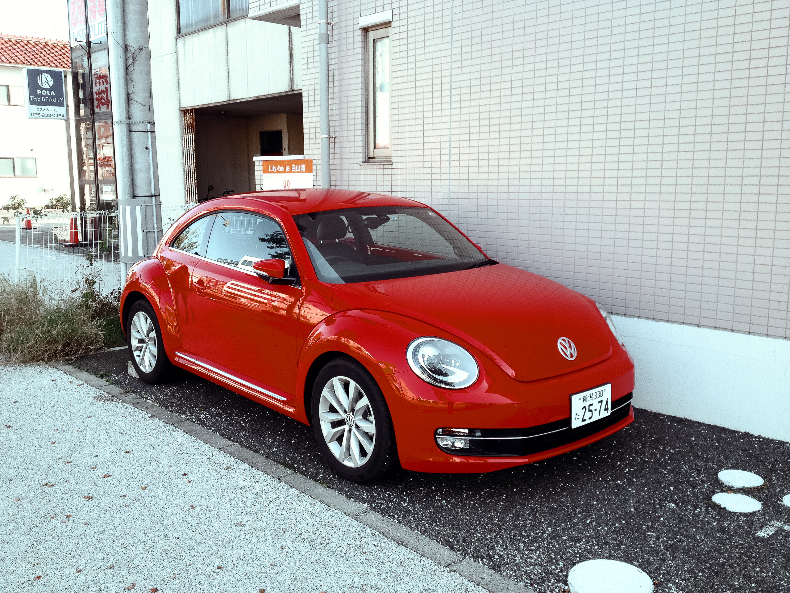 Япония. Ниигата. Фотограф в Хабаровске. Фотография за 24 часа