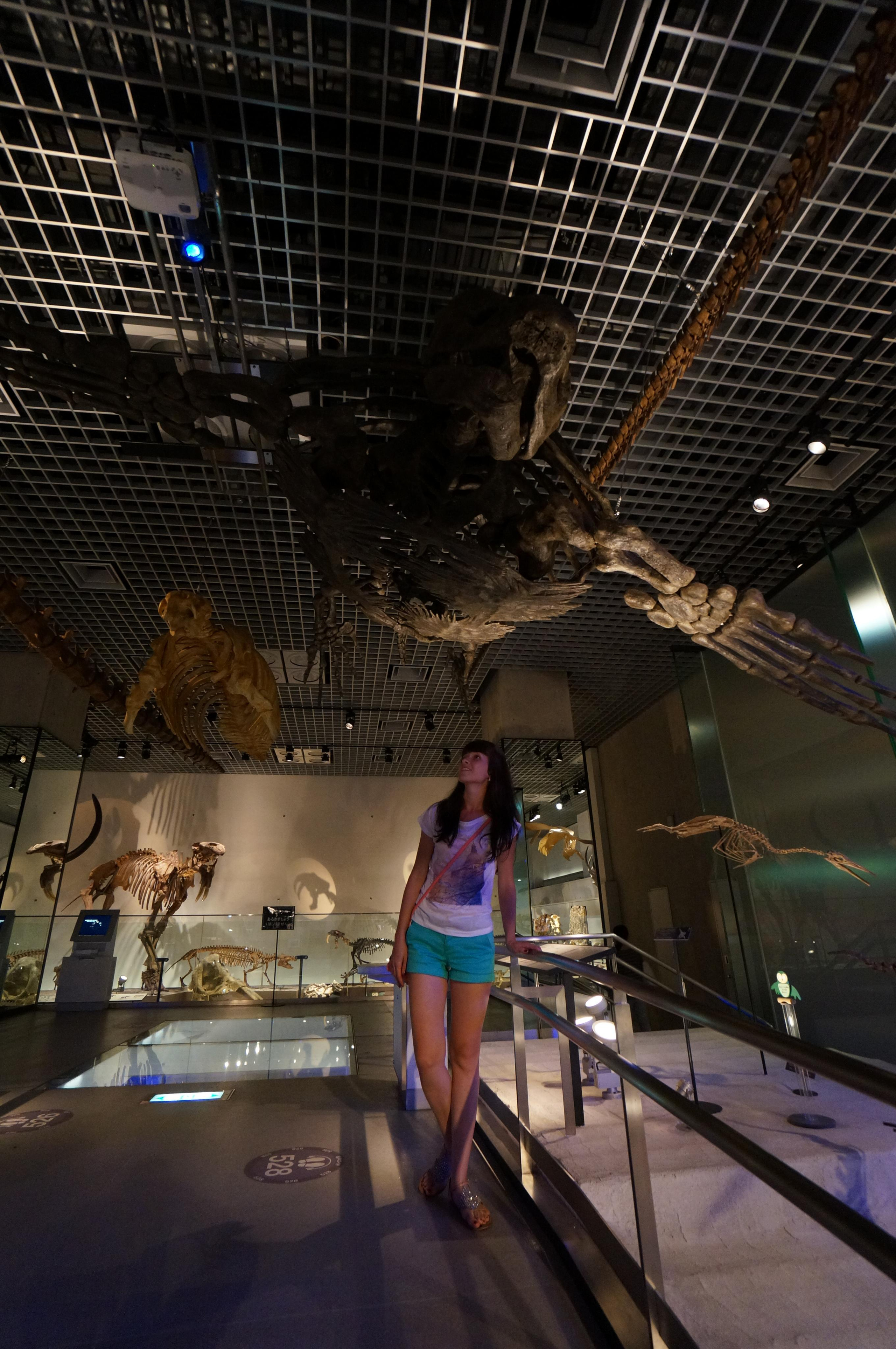 Япония. Токио, Киото. Фотограф в Хабаровске. Фотография за 24 часа