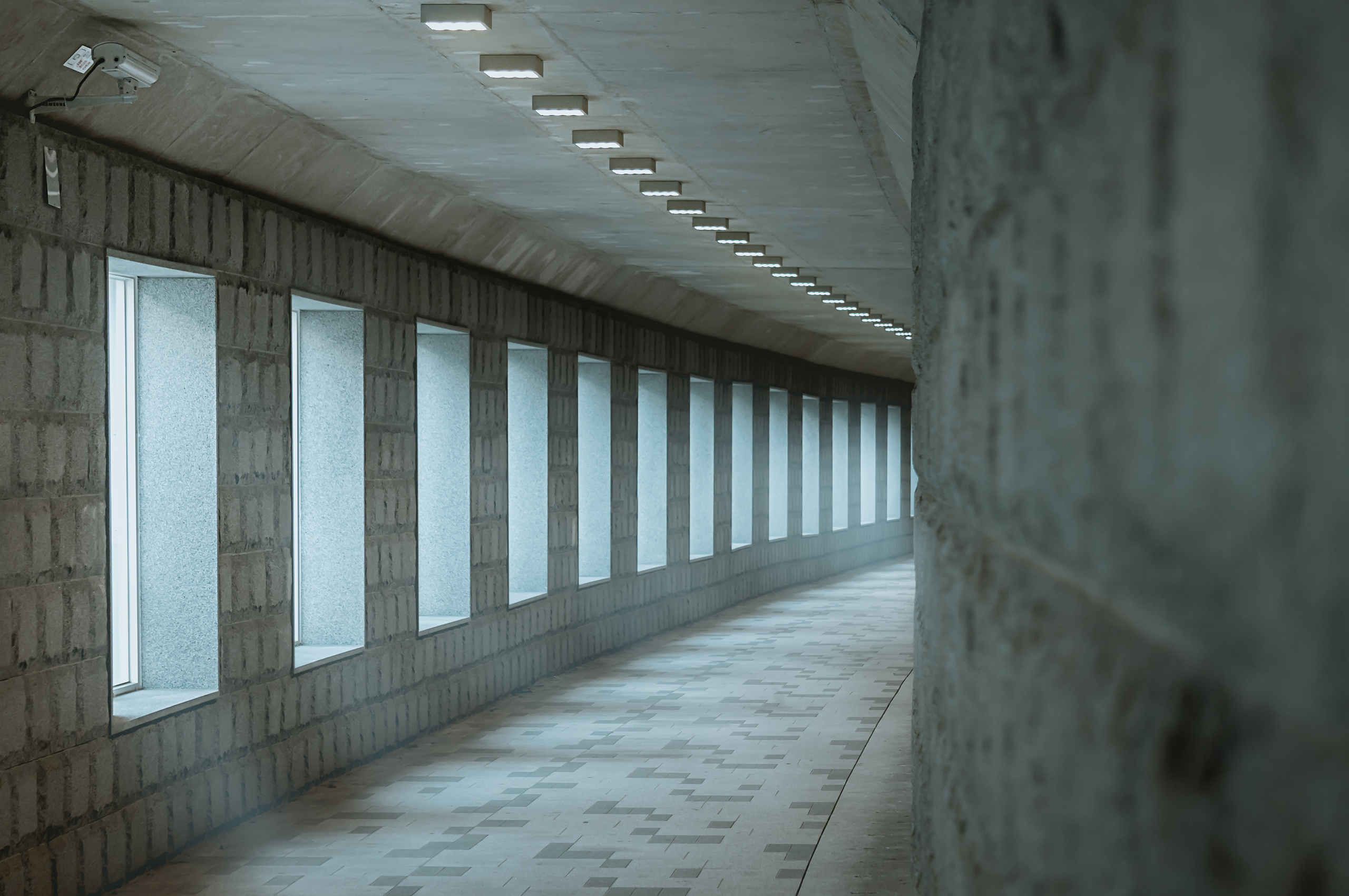 Корея ноябрь 2016. Фотограф в Хабаровске. Фотография за 24 часа