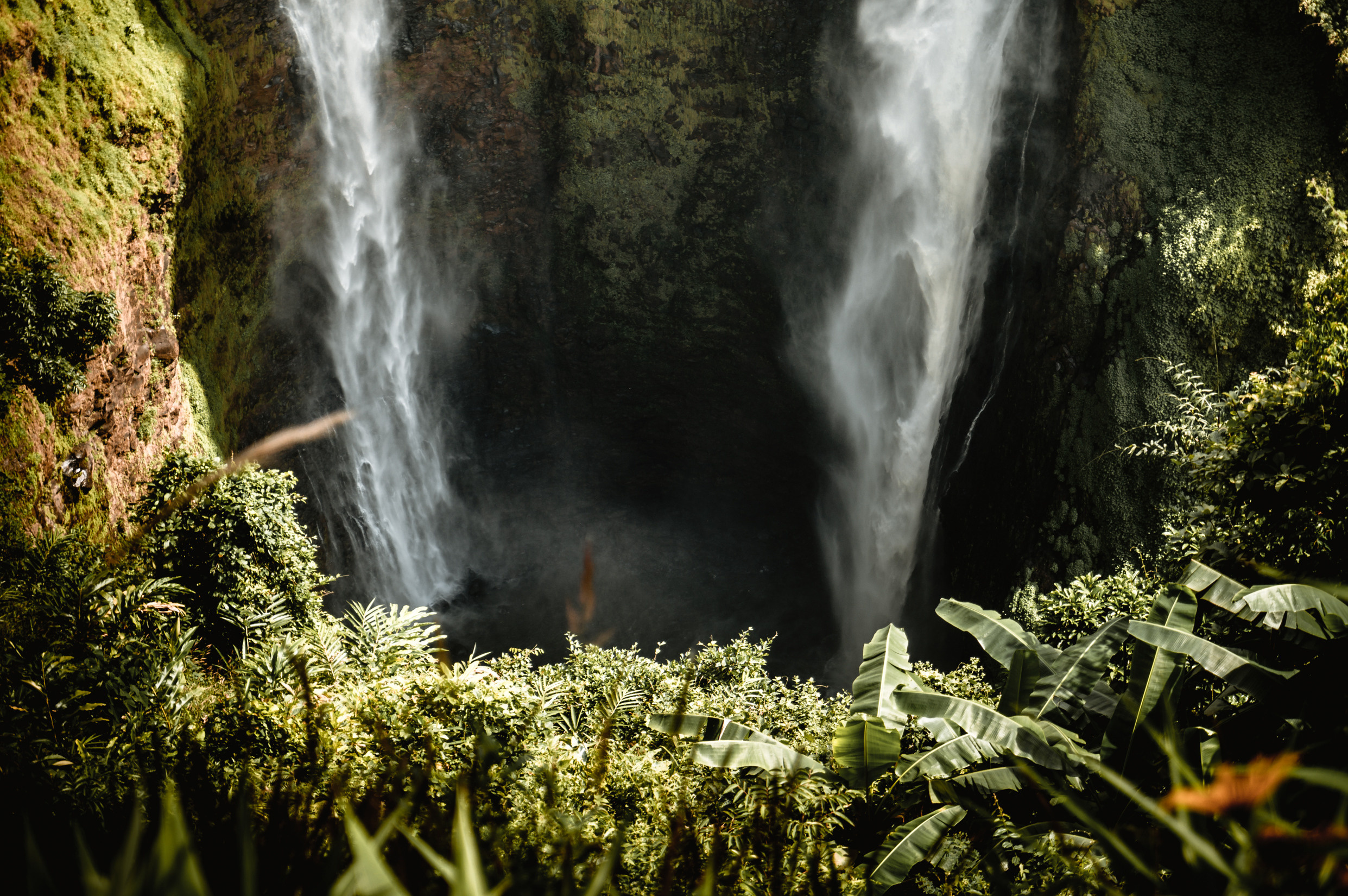 ЮВА: Южная Корея, Вьетнам, Камбоджа, Лаос. Фотограф в Хабаровске. Фотография за 24 часа