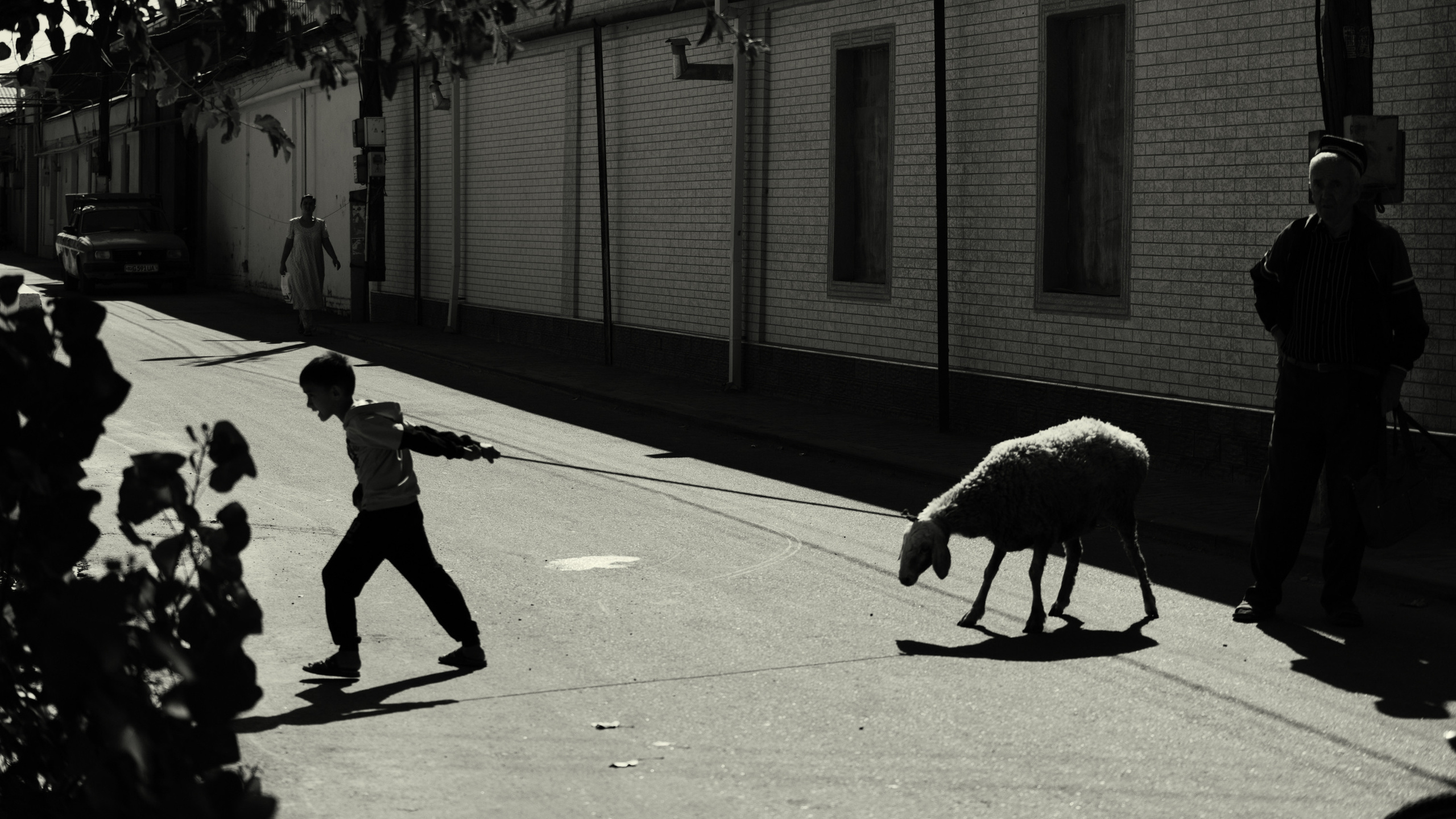 Средняя Азия: Кыргыстан, Казахстан, Узбекистан, Таджикистан. Фотограф в Хабаровске. Фотография за 24 часа