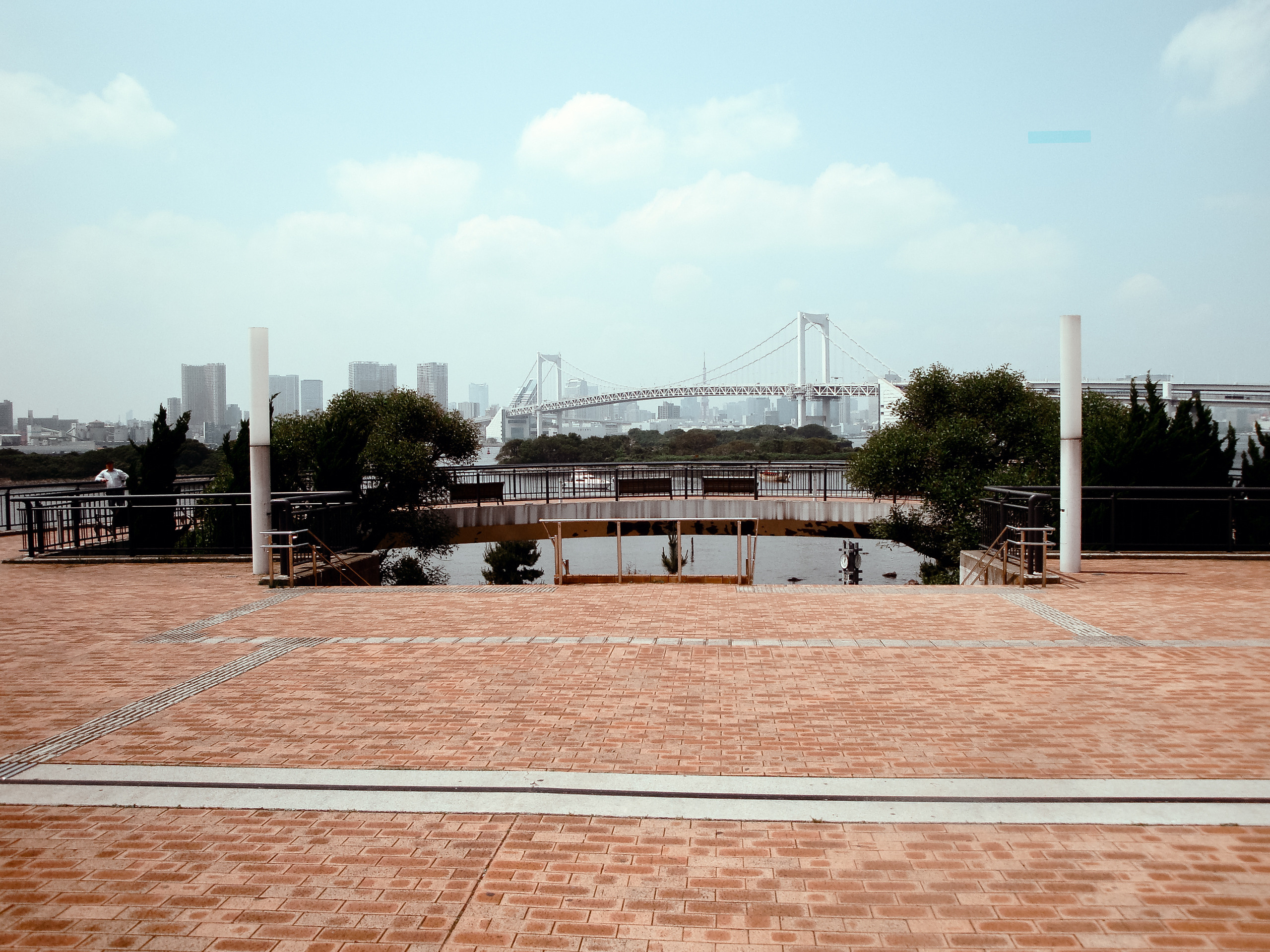 Япония: Токио, Тояма, Ниигата. Фотограф в Хабаровске. Фотография за 24 часа