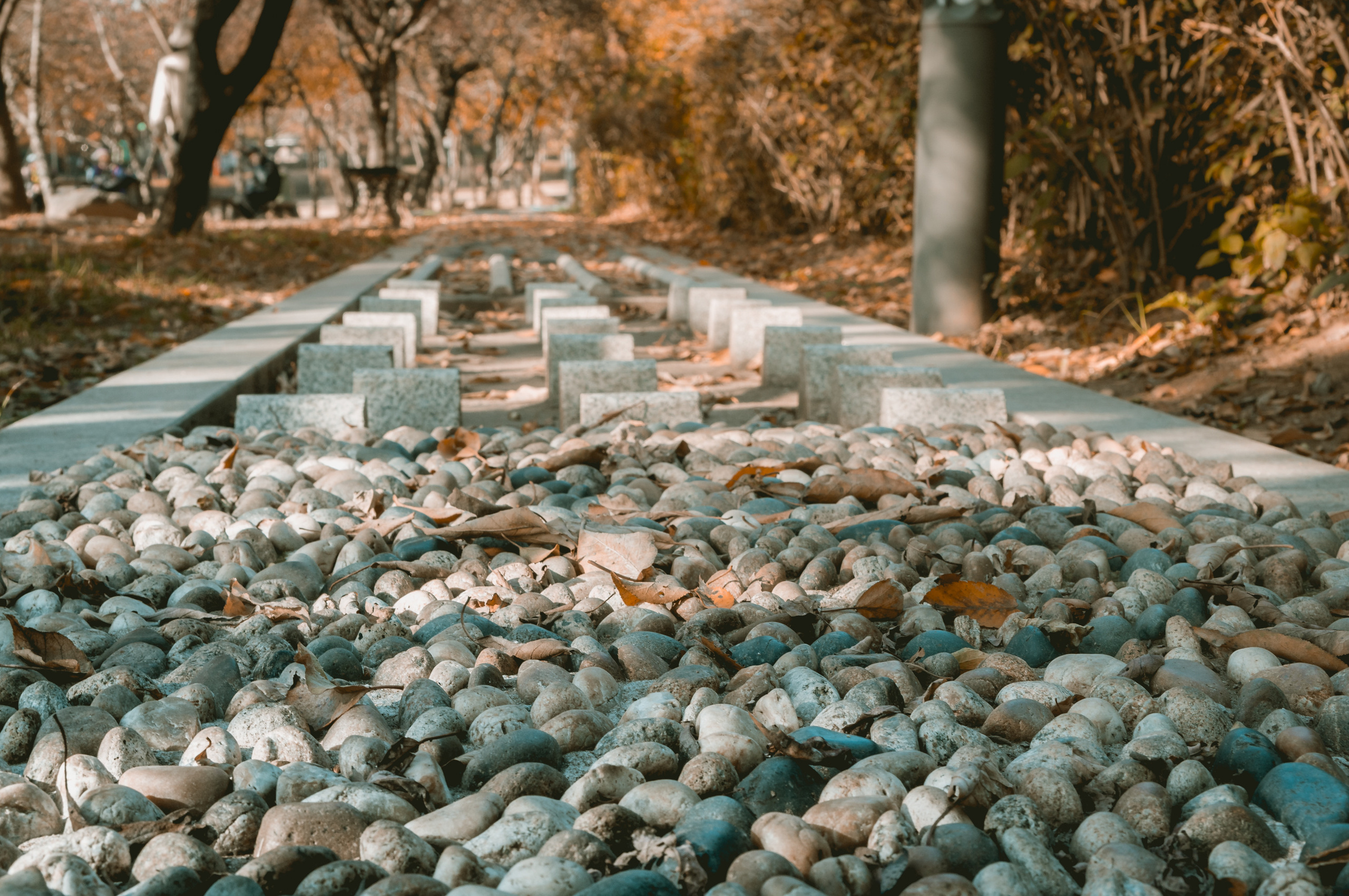 Корея ноябрь 2016. Фотограф в Хабаровске. Фотография за 24 часа