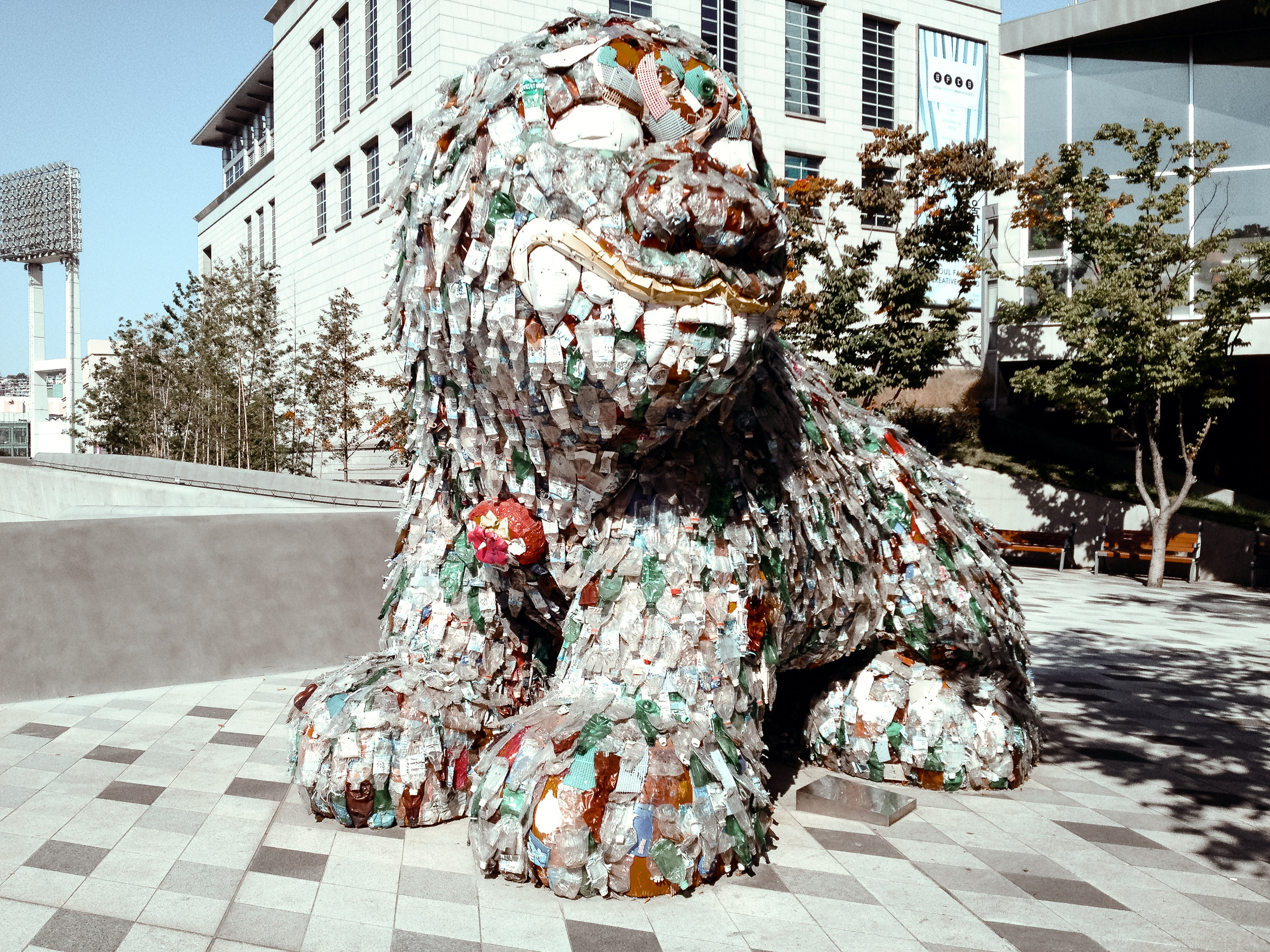 Корея 2013. Фотограф в Хабаровске. Фотография за 24 часа