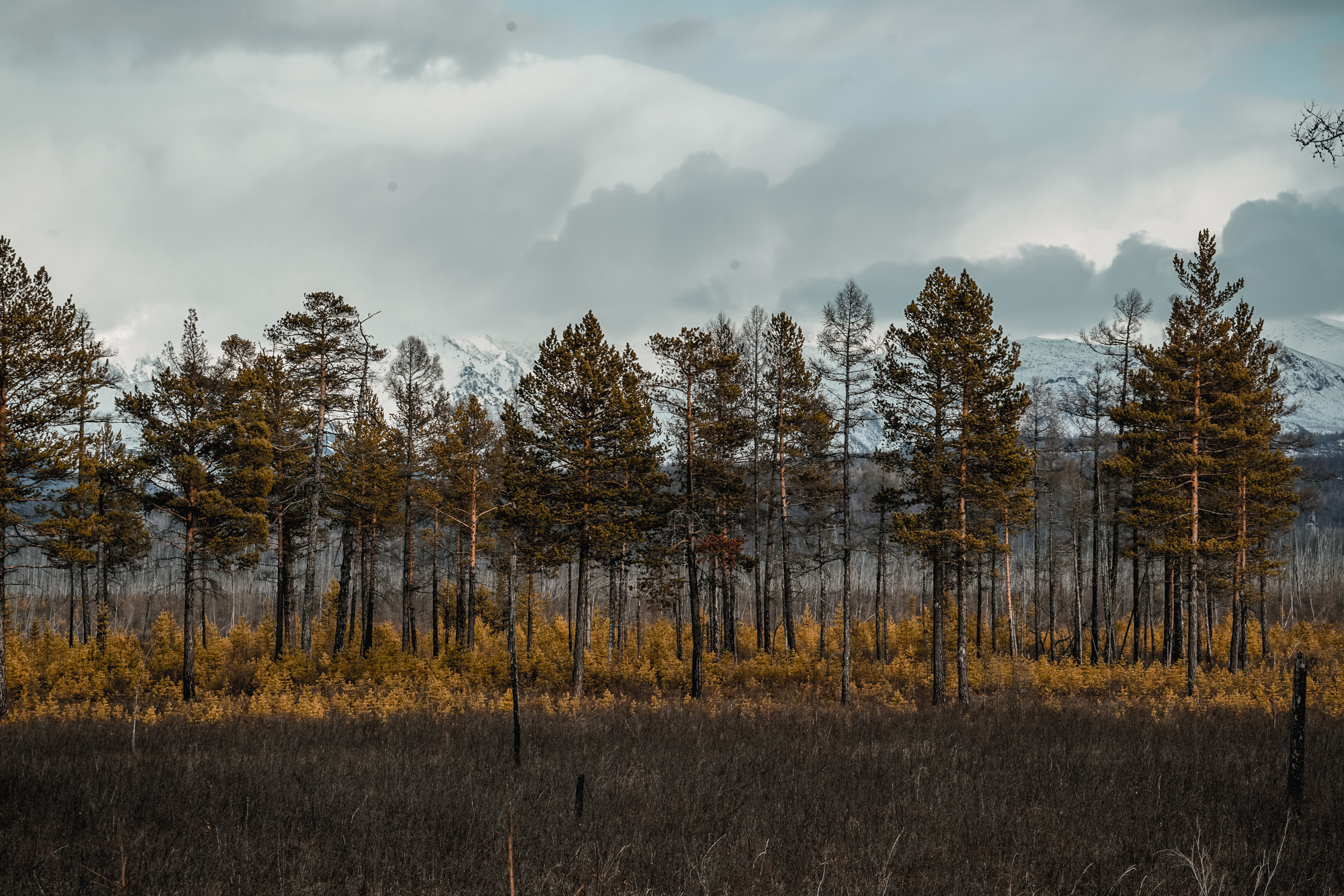 Забайкальский край. Чара. Фотограф в Хабаровске. Фотография за 24 часа