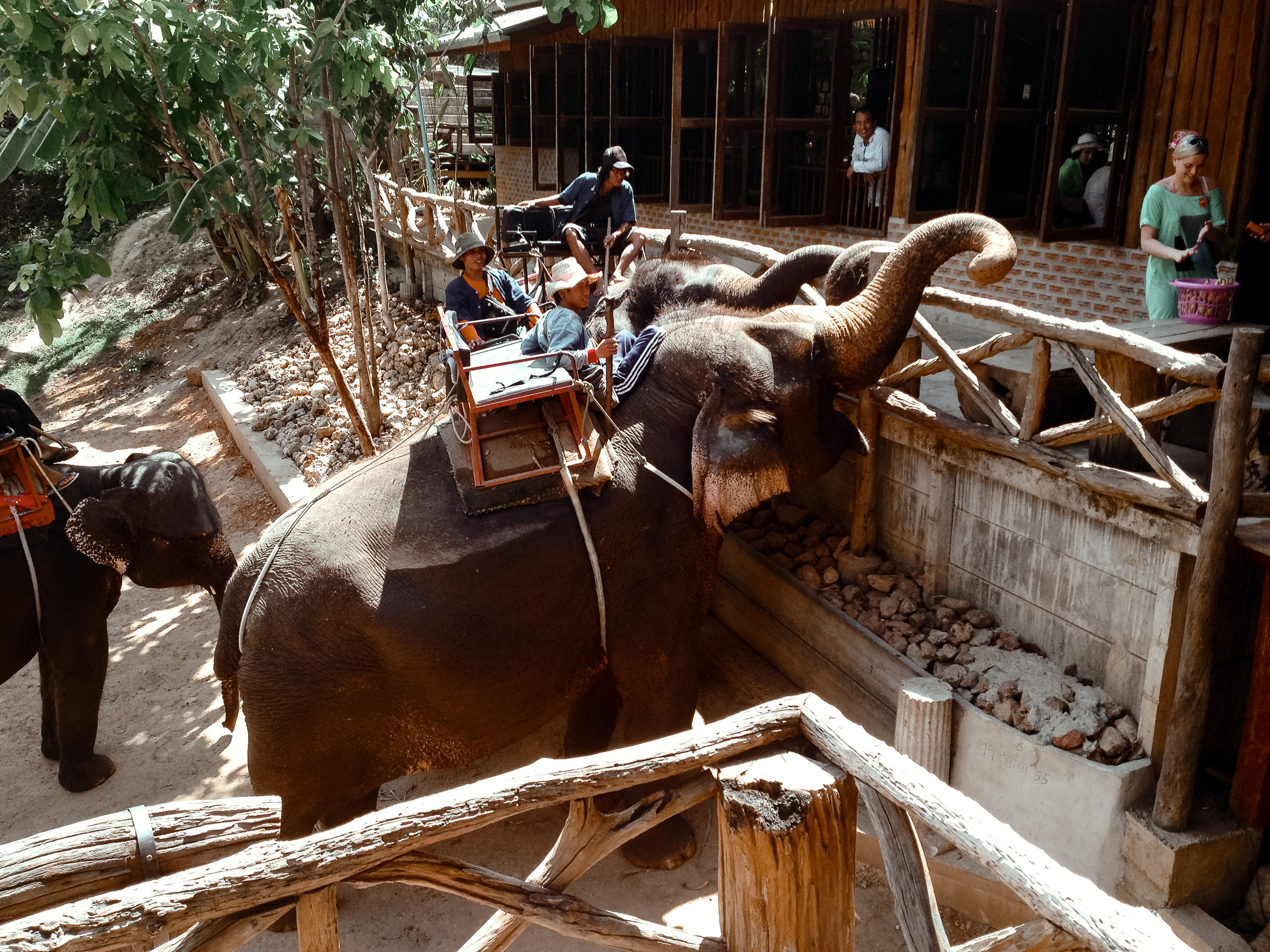 Тайланд. Паттая. Фотограф в Хабаровске. Фотография за 24 часа
