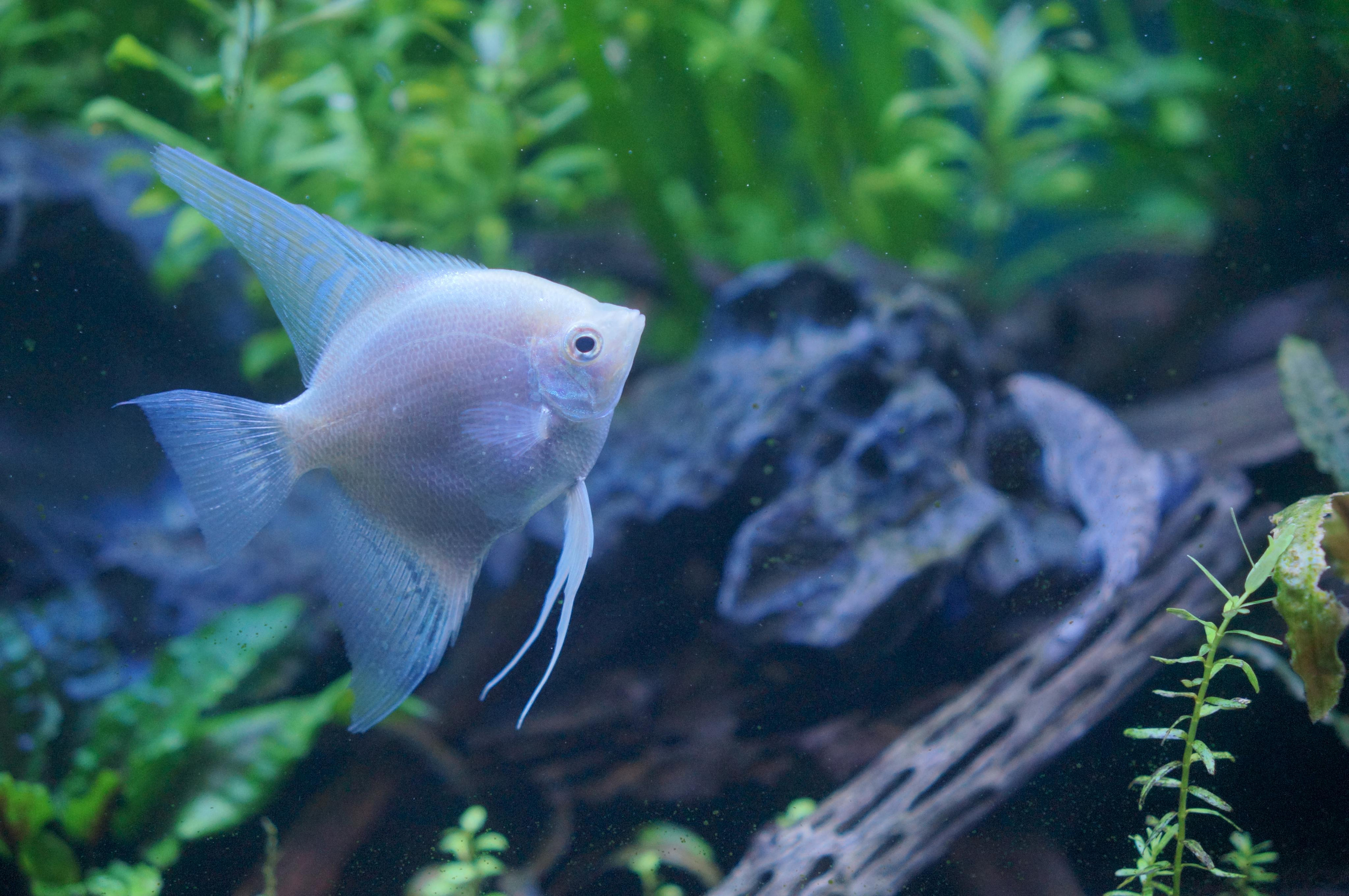 Корея октябрь 2015. Фотограф в Хабаровске. Фотография за 24 часа