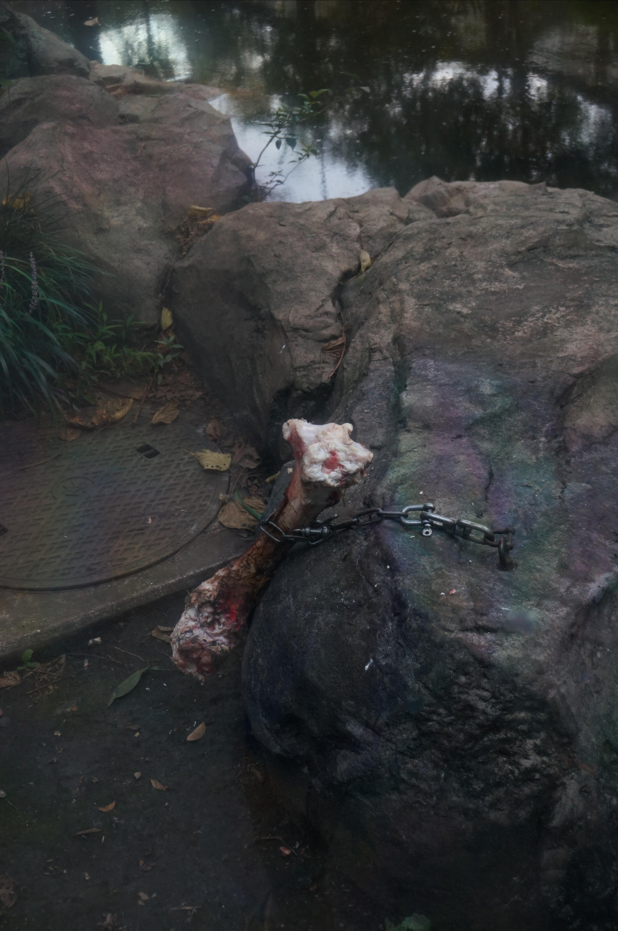 Япония. Токио, Киото. Фотограф в Хабаровске. Фотография за 24 часа