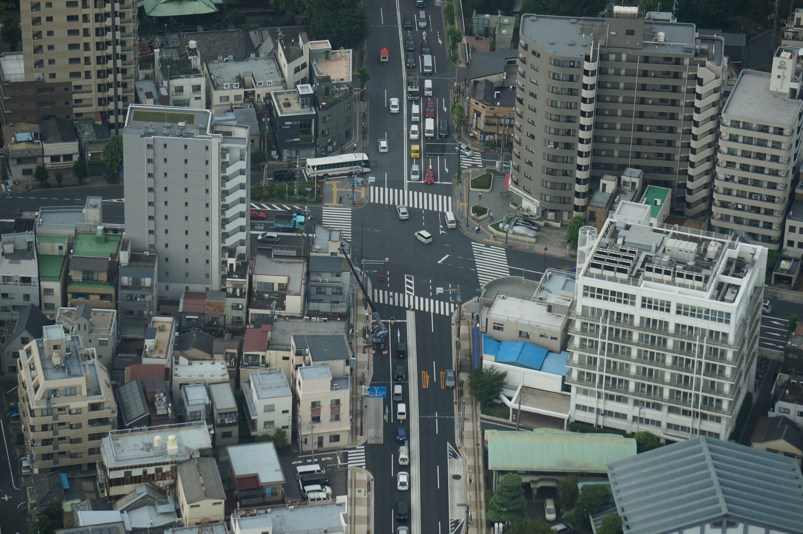 Япония. Токио, Киото. Фотограф в Хабаровске. Фотография за 24 часа