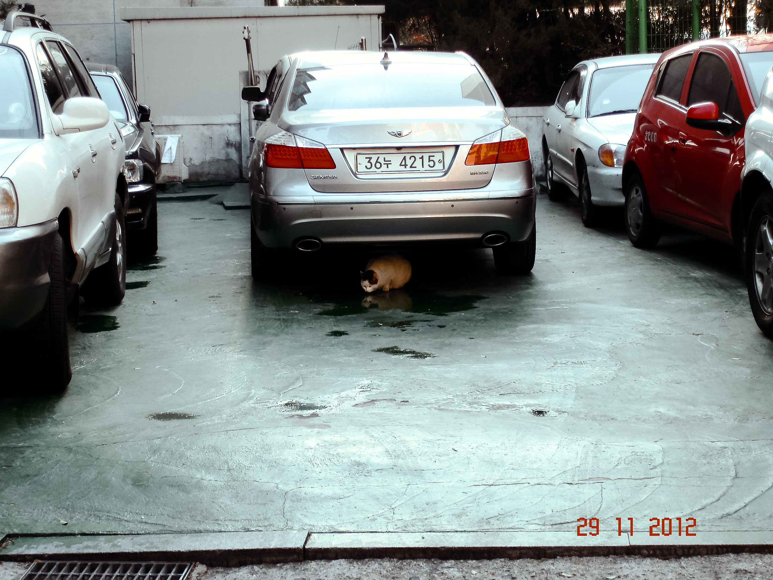 Корея 2012. Фотограф в Хабаровске. Фотография за 24 часа