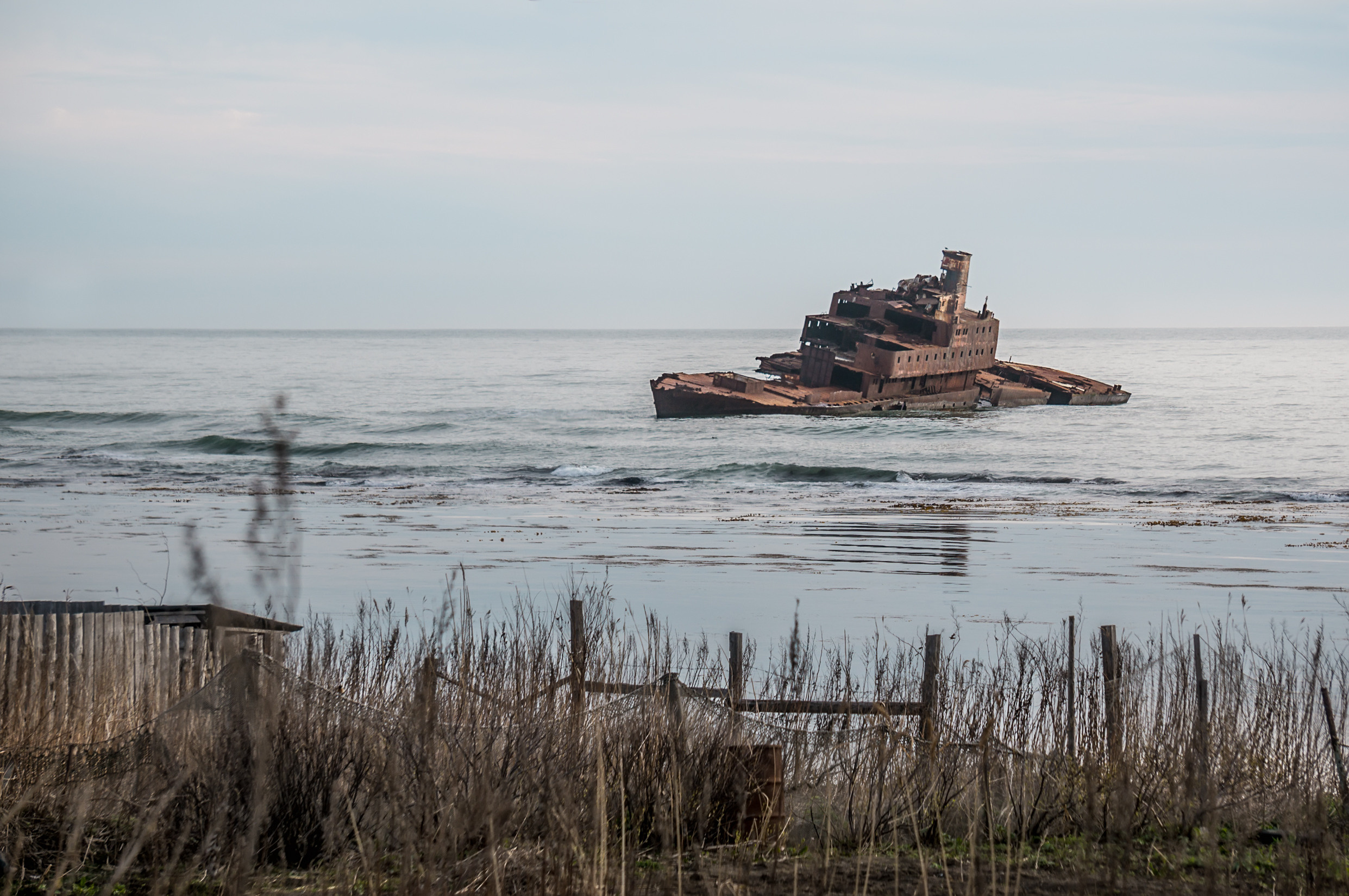 Сахалин. Фотограф в Хабаровске. Фотография за 24 часа