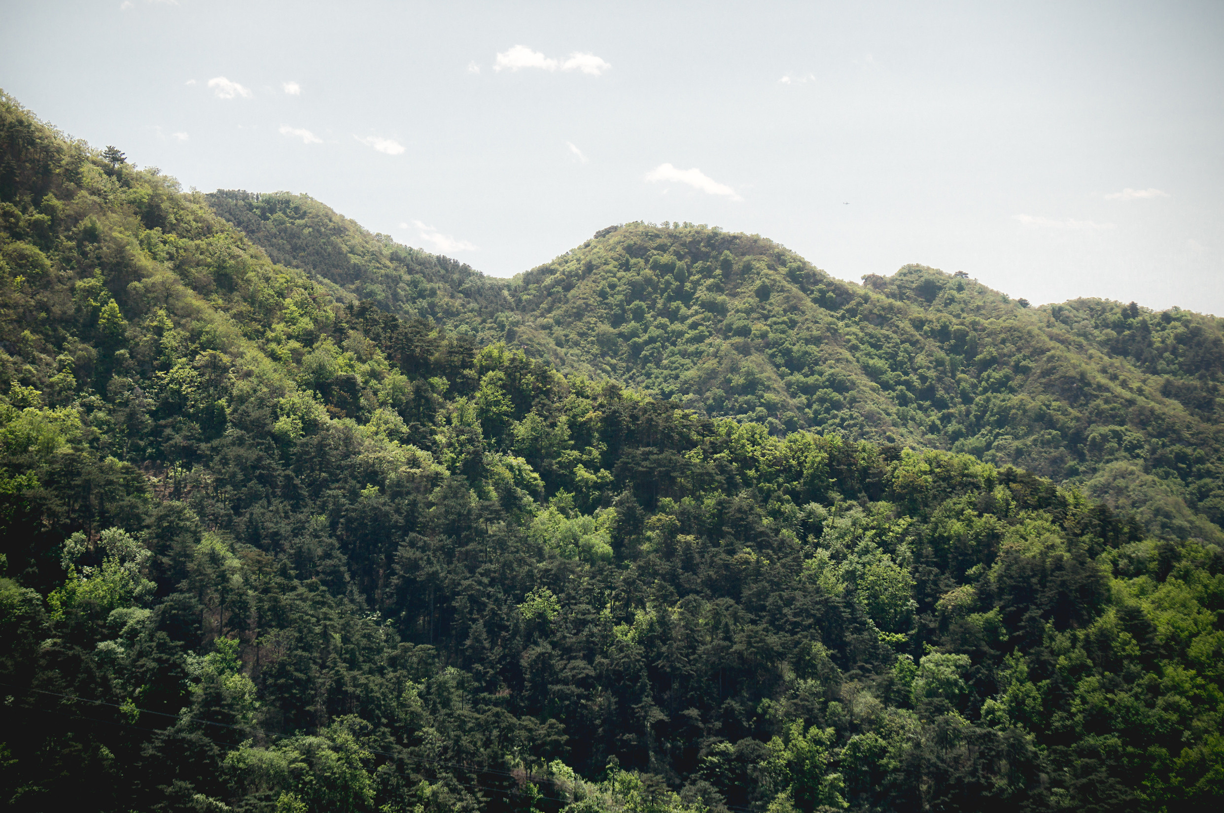 Китай. Пекин. Фотограф в Хабаровске. Фотография за 24 часа