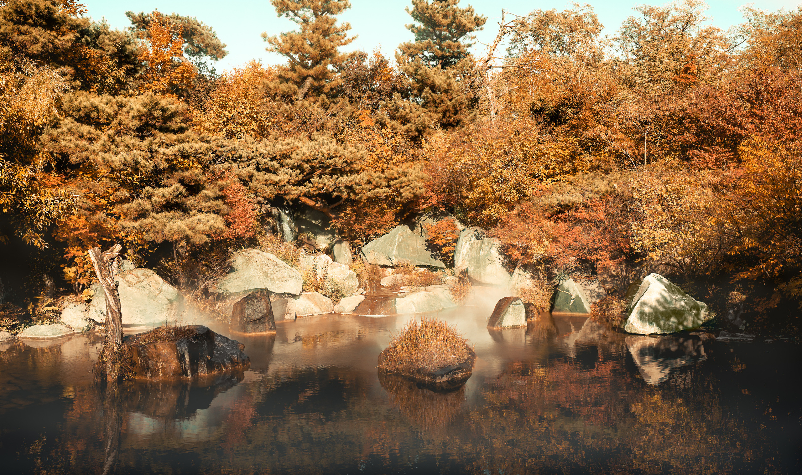 Корея ноябрь 2016. Фотограф в Хабаровске. Фотография за 24 часа