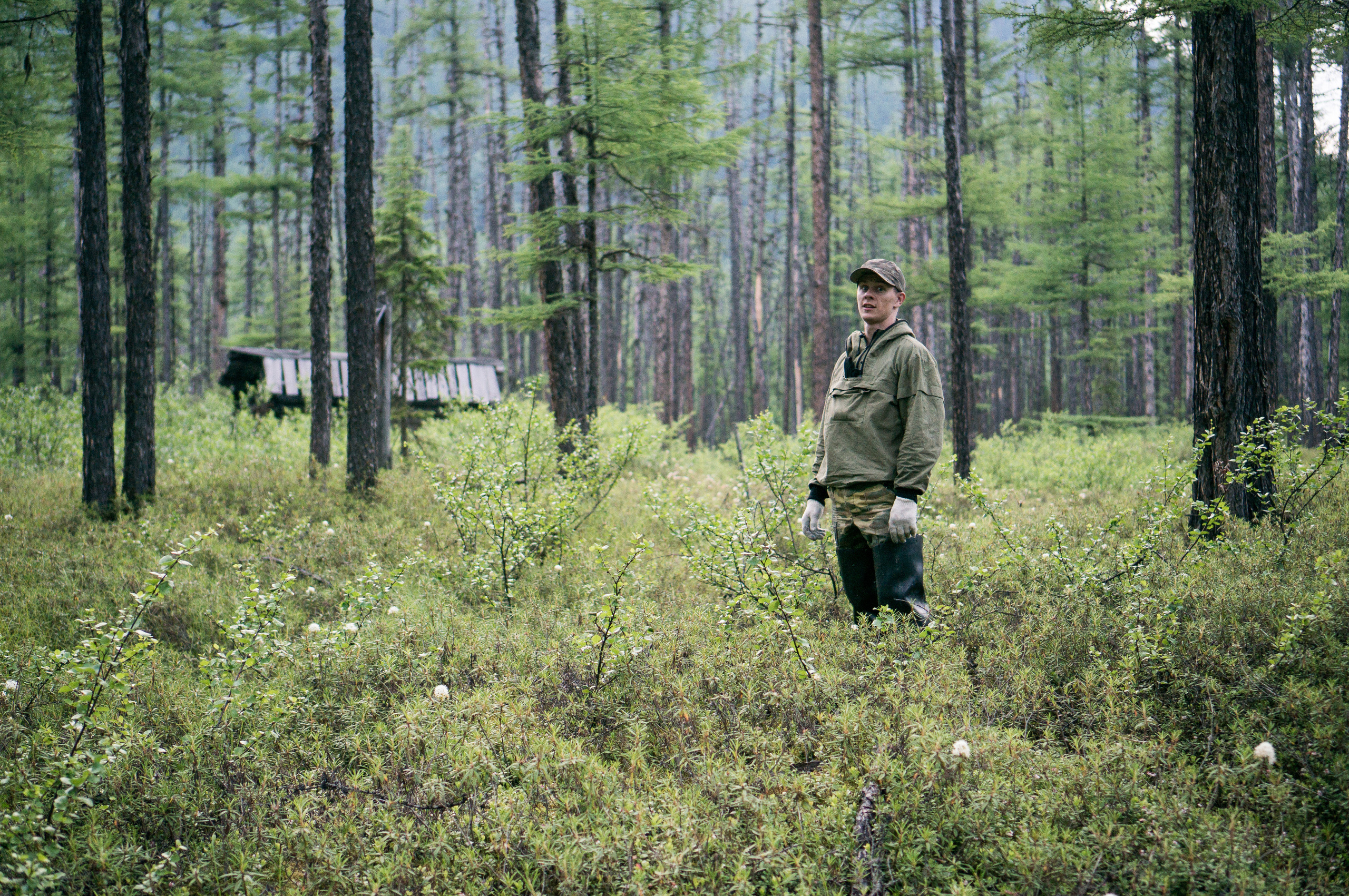 Дуссе-Алинь. Фотограф в Хабаровске. Фотография за 24 часа