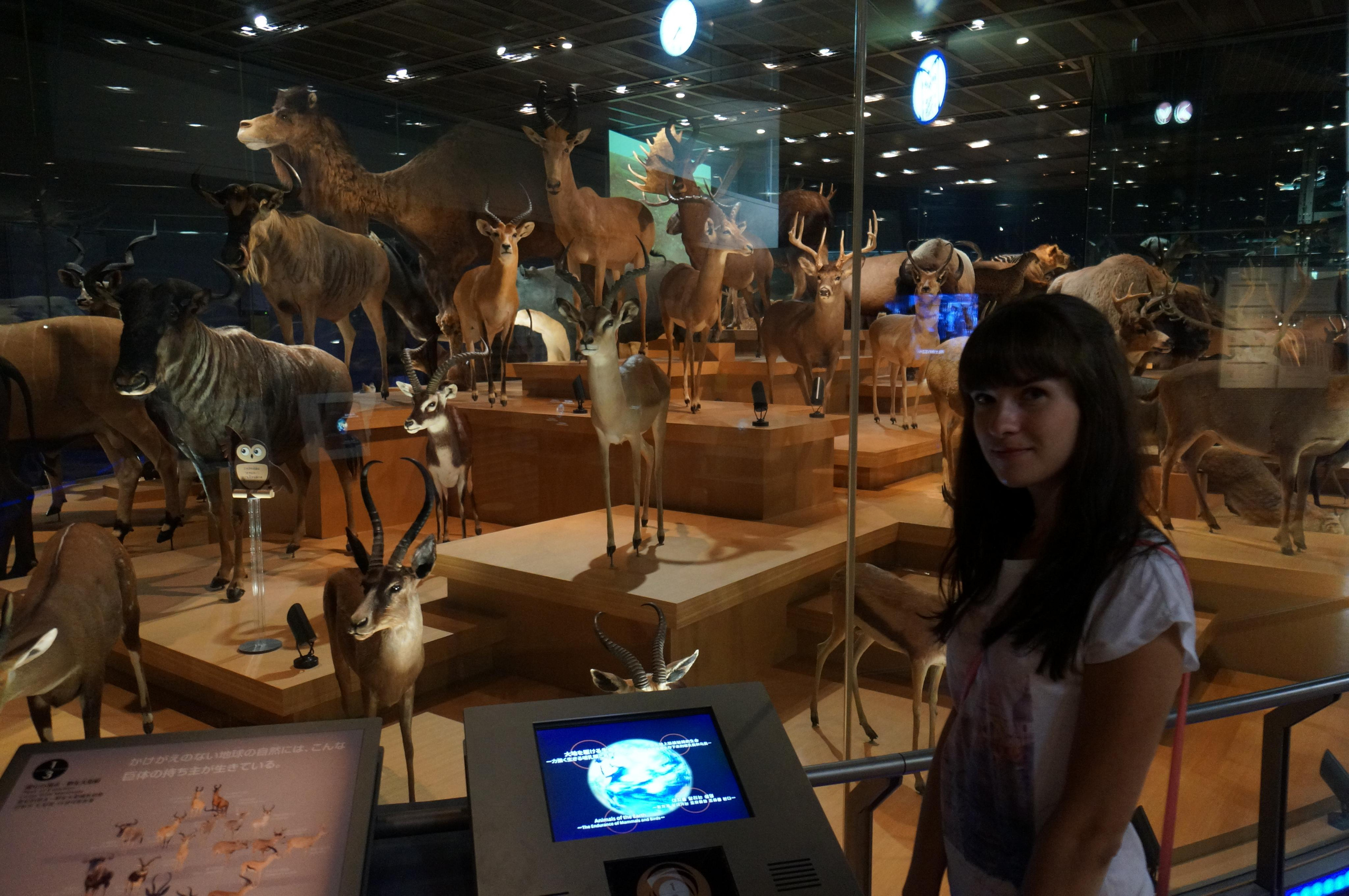 Япония. Токио, Киото. Фотограф в Хабаровске. Фотография за 24 часа