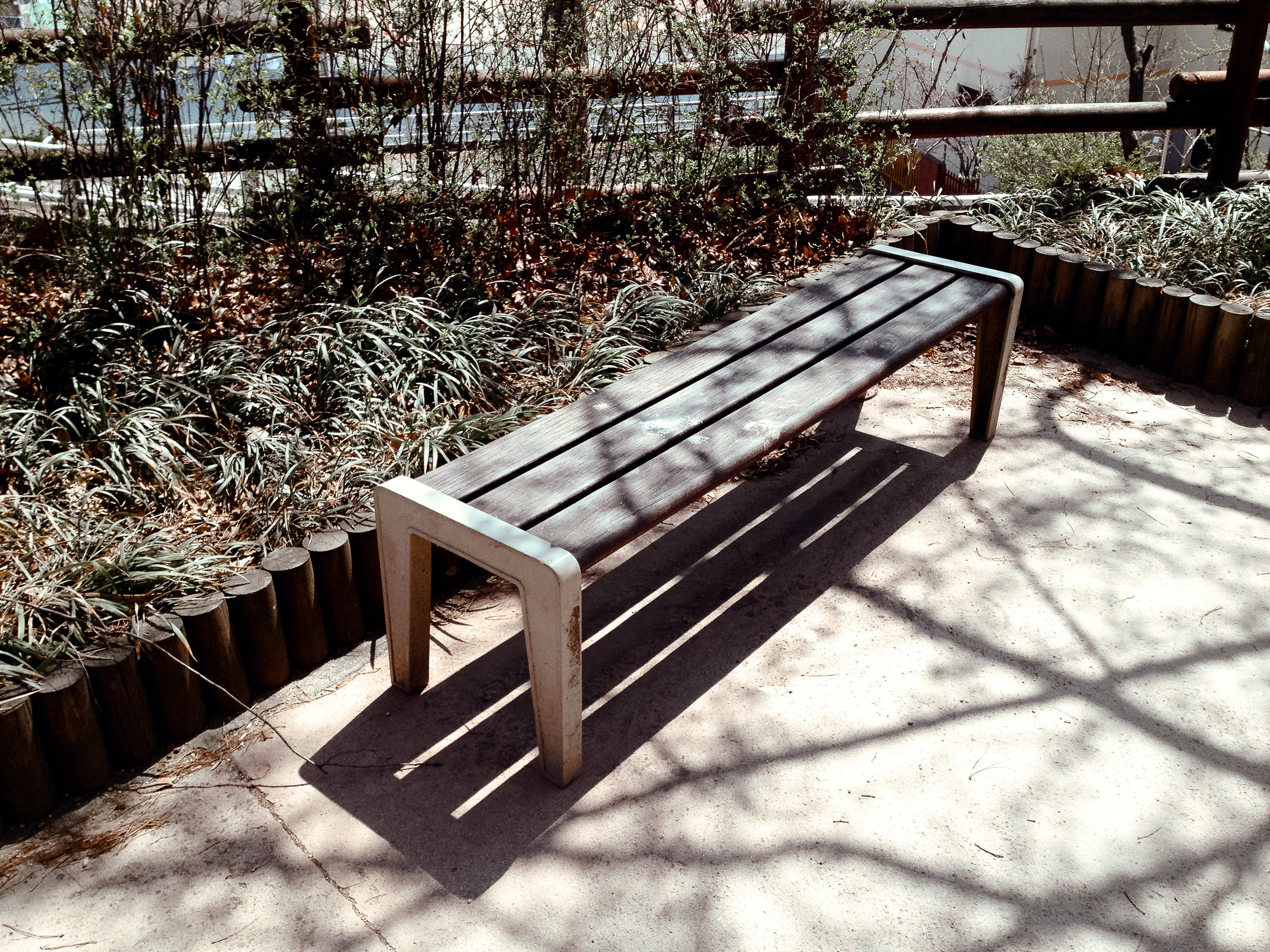 Корея 2014. Фотограф в Хабаровске. Фотография за 24 часа